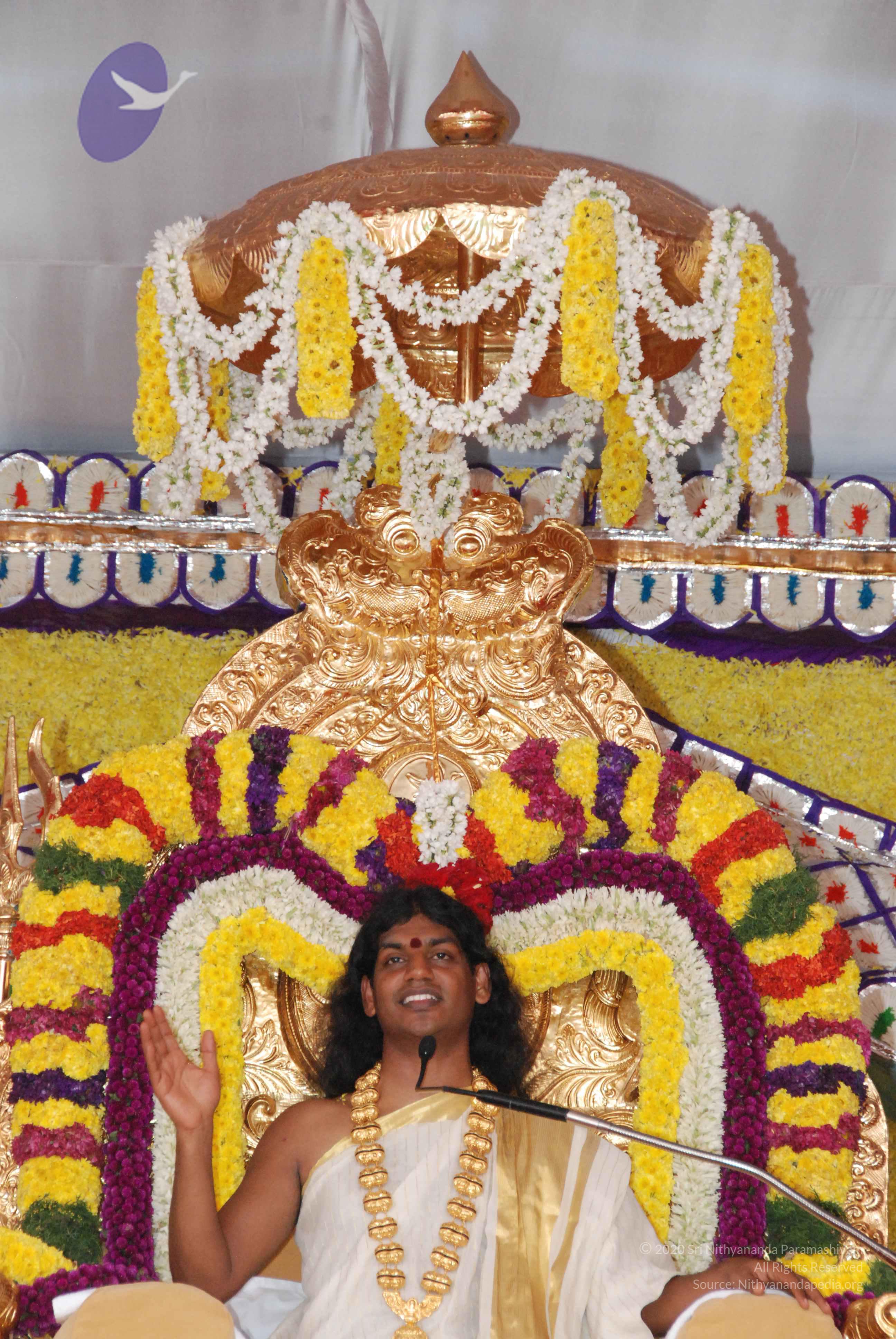 20100101_Photo_1054_DSC_2036_CMP_WM