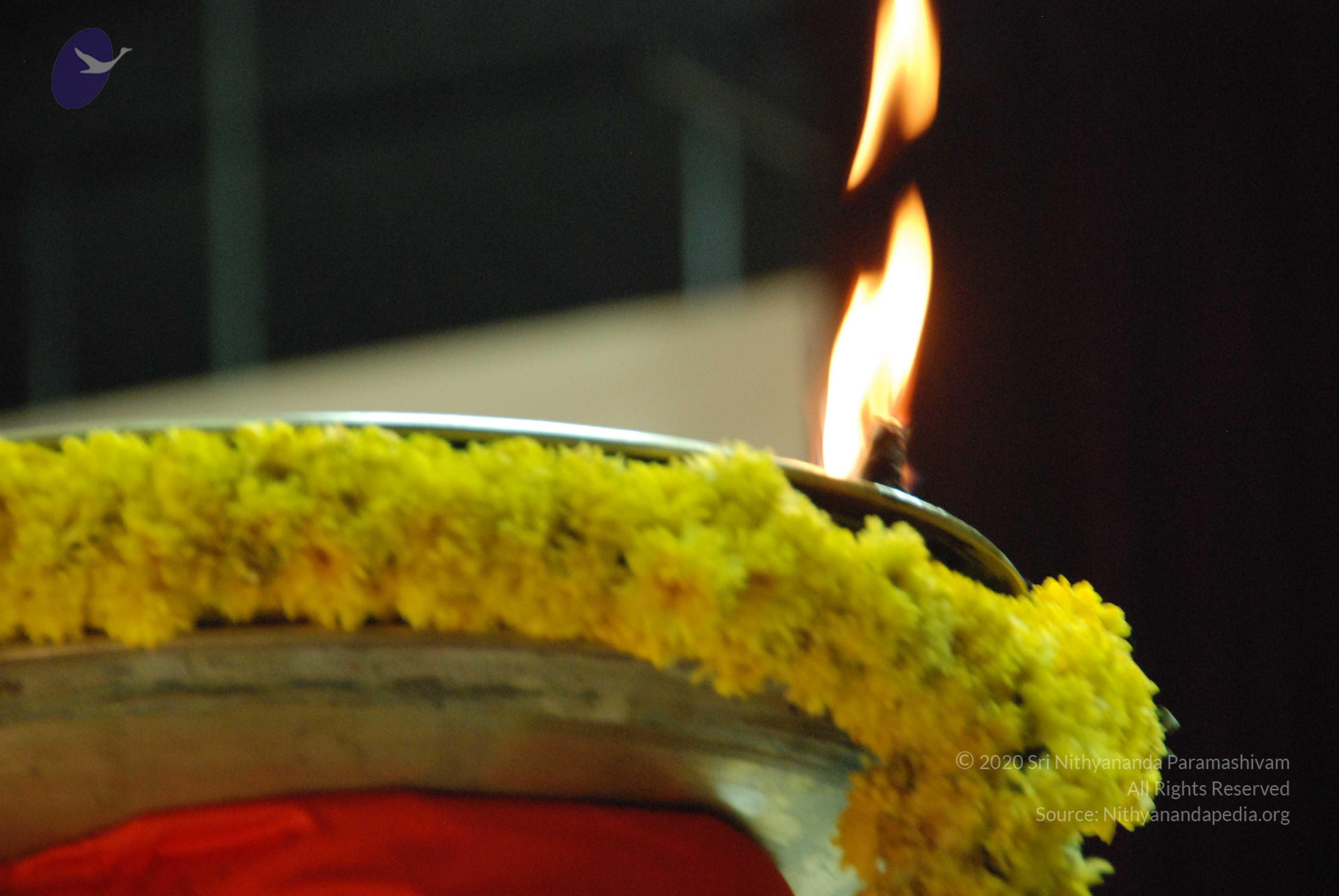 20100101_Photo_1134_DSC_2544_CMP_WM