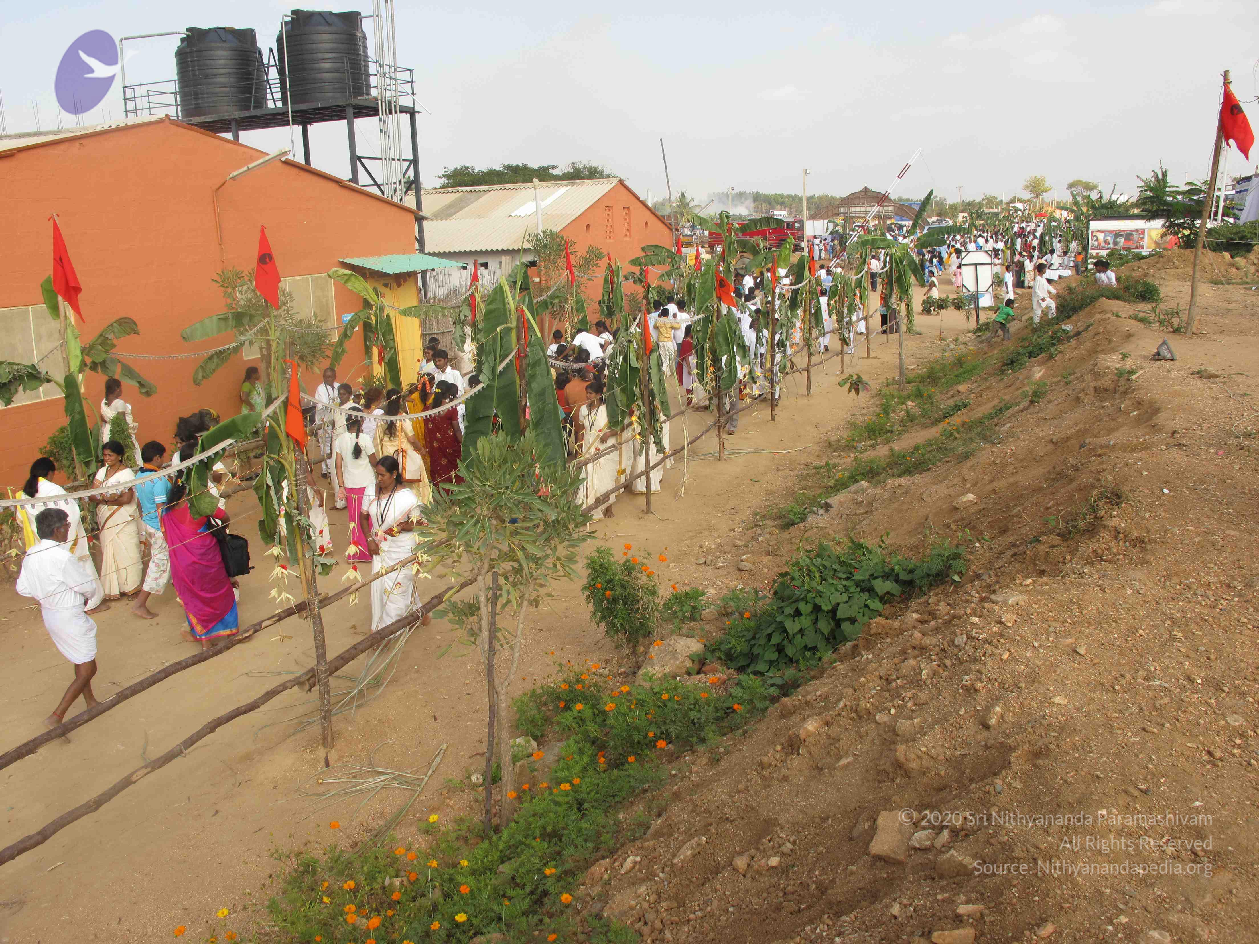 20100101_Photo_1022_IMG_2013_CMP_WM