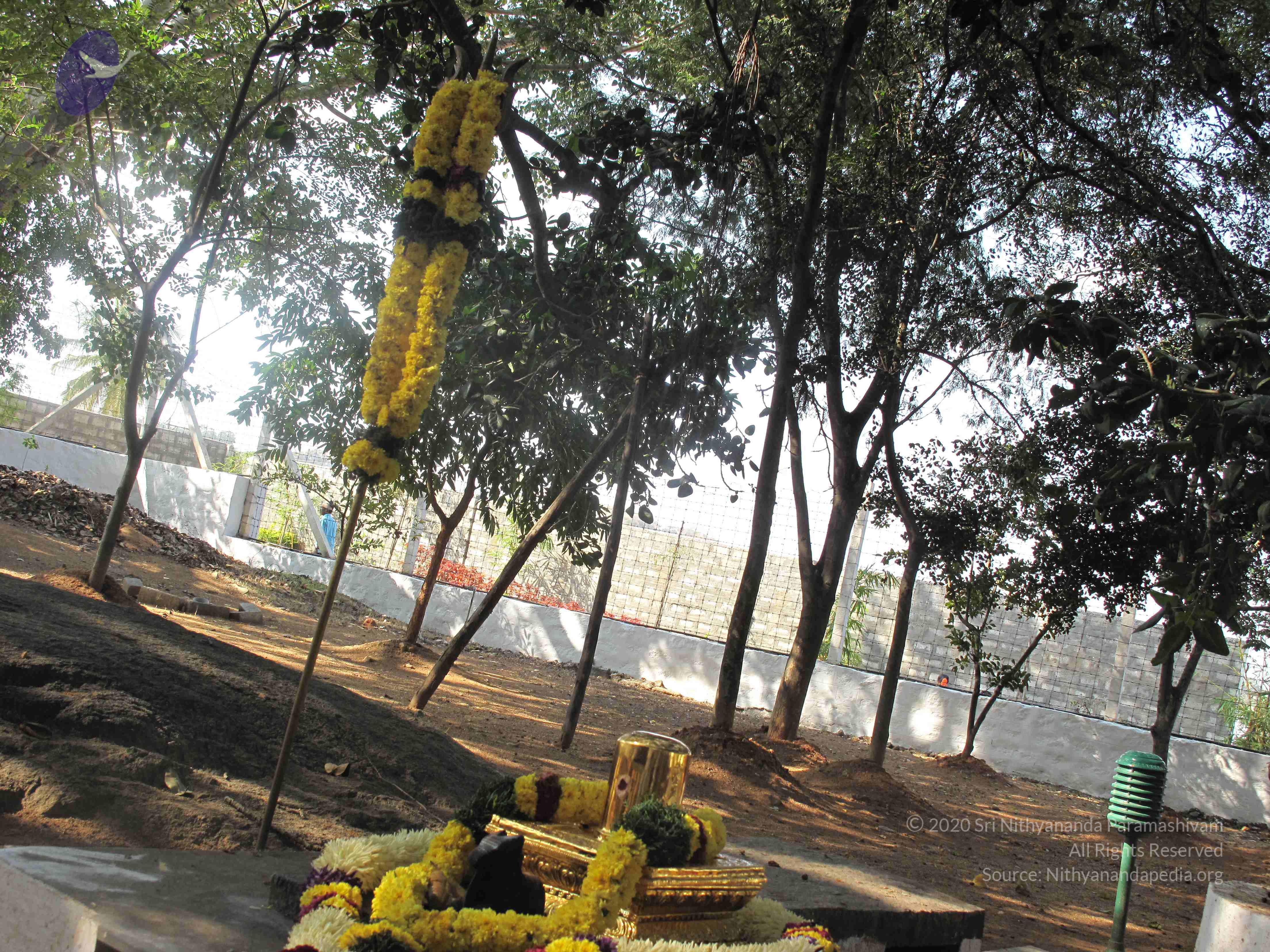 20100101_Photo_1023_IMG_1978_CMP_WM