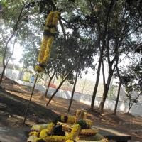 20100101_Photo_1023_IMG_1978_CMP_WM