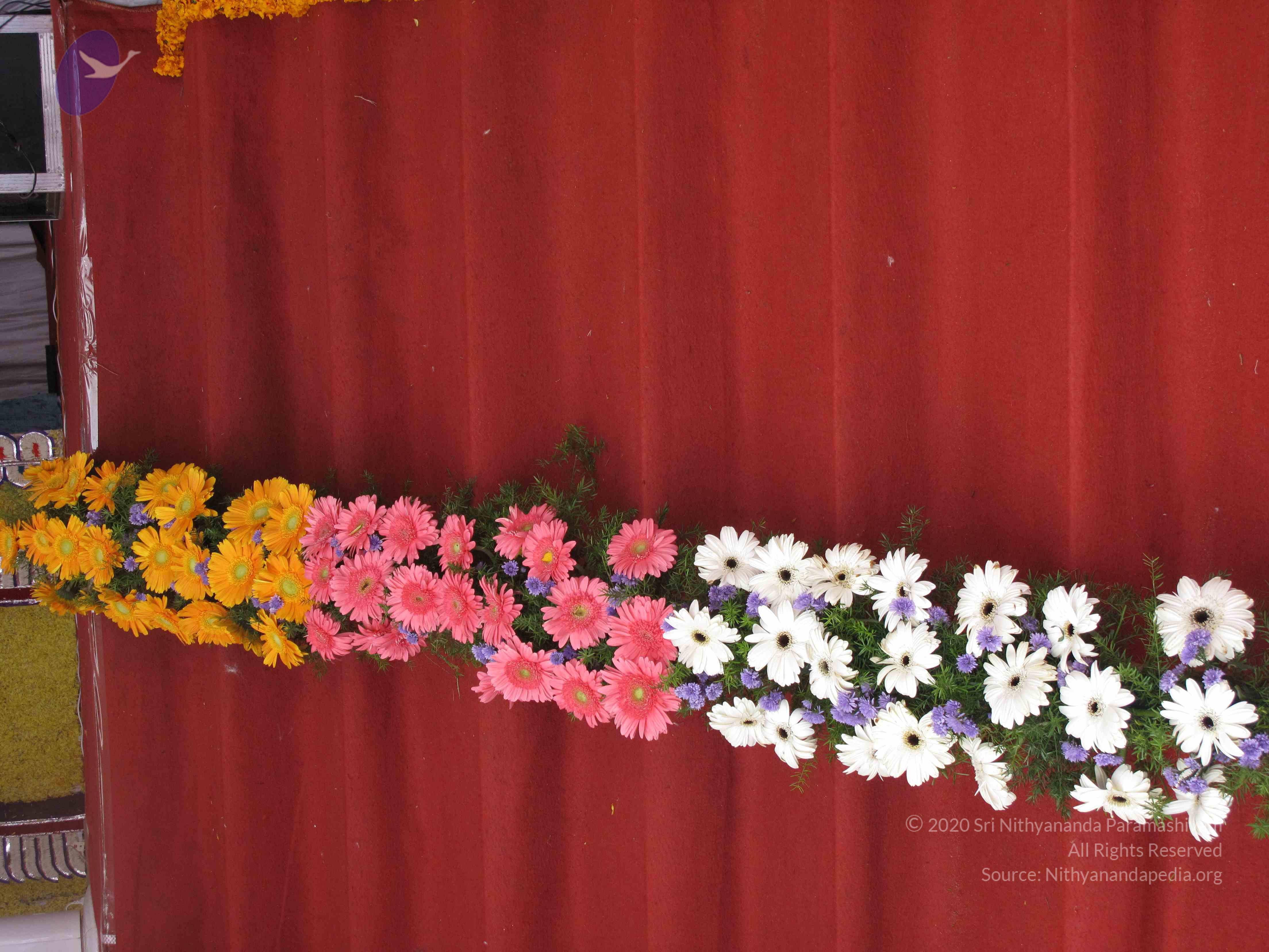 20100101_Photo_1038_IMG_1707_CMP_WM