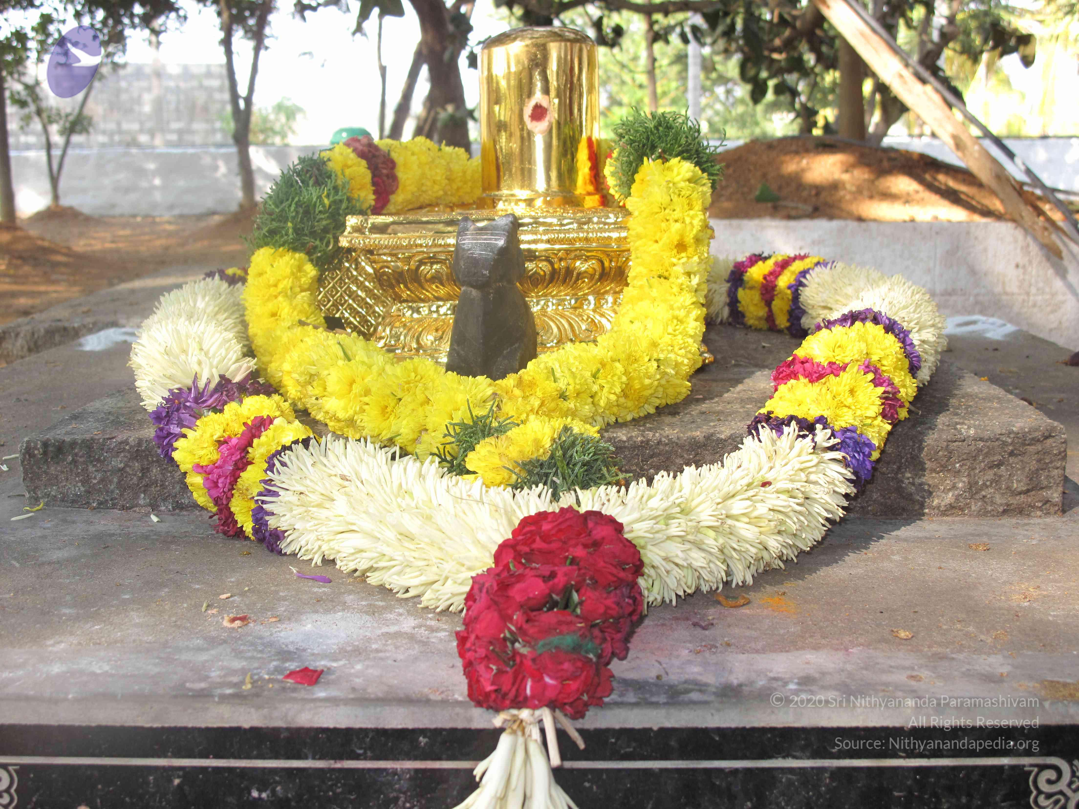 20100101_Photo_1062_IMG_1975_CMP_WM