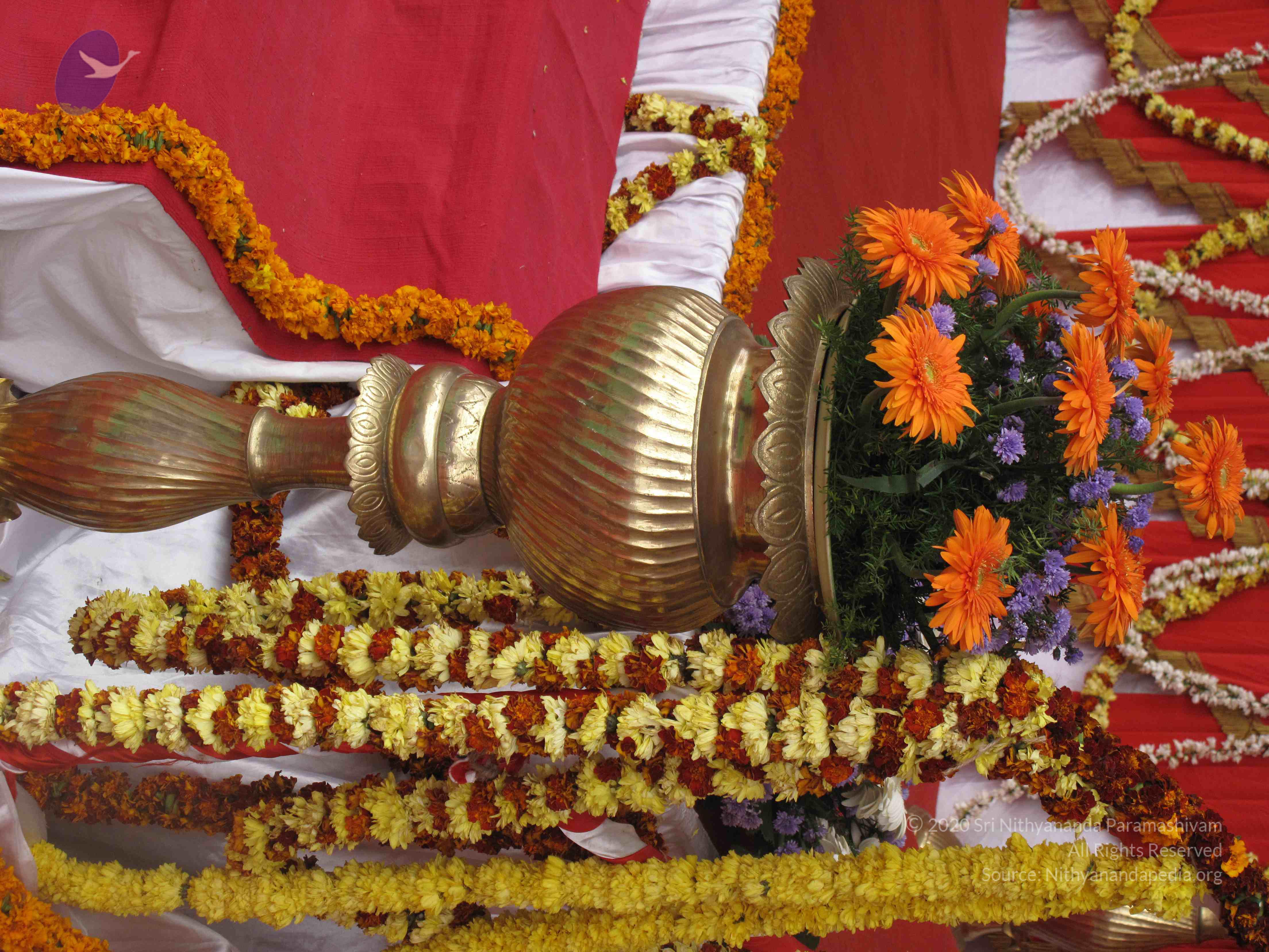 20100101_Photo_1209_IMG_1705_CMP_WM