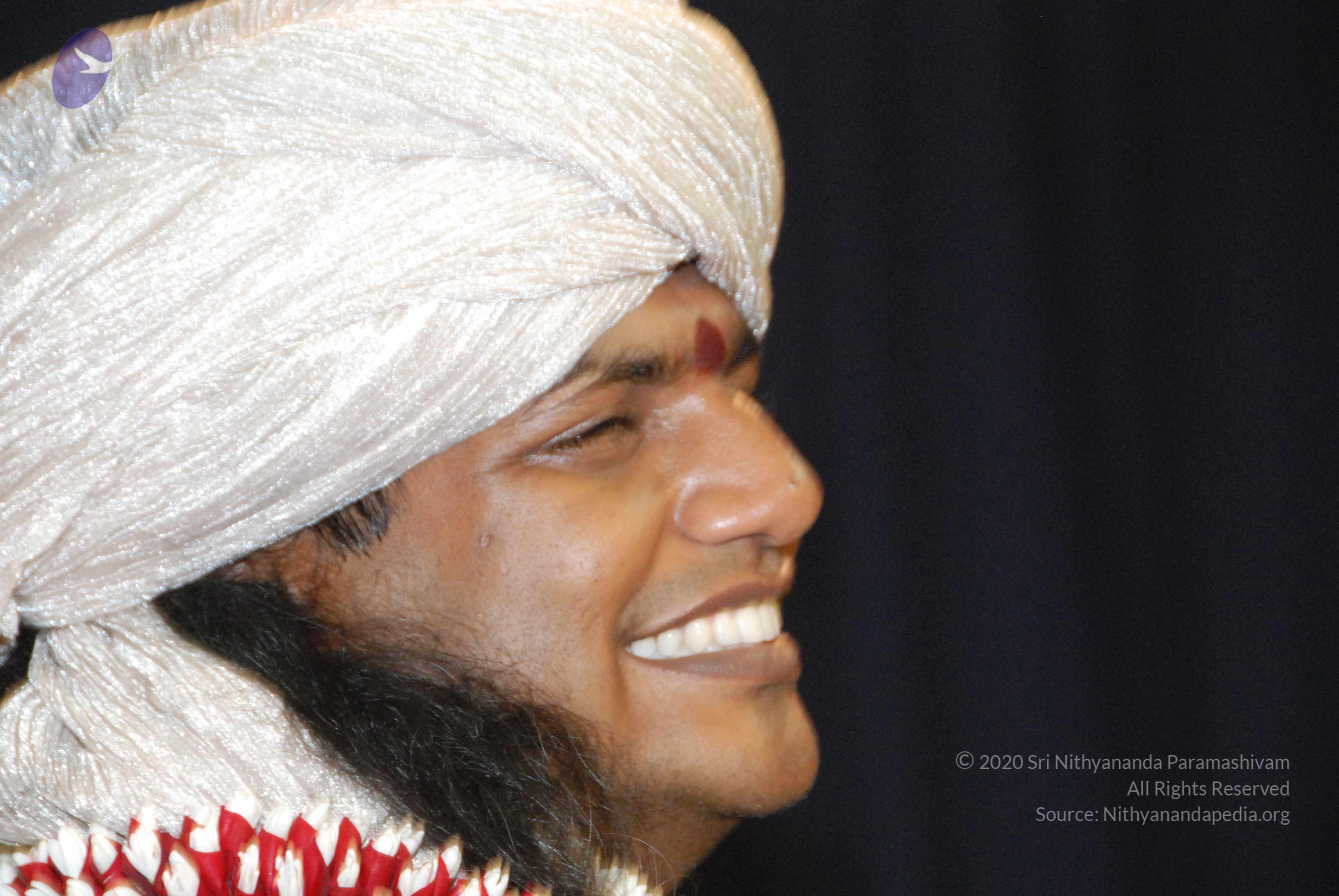 20100101_Photo_1210_DSC_2945_CMP_WM