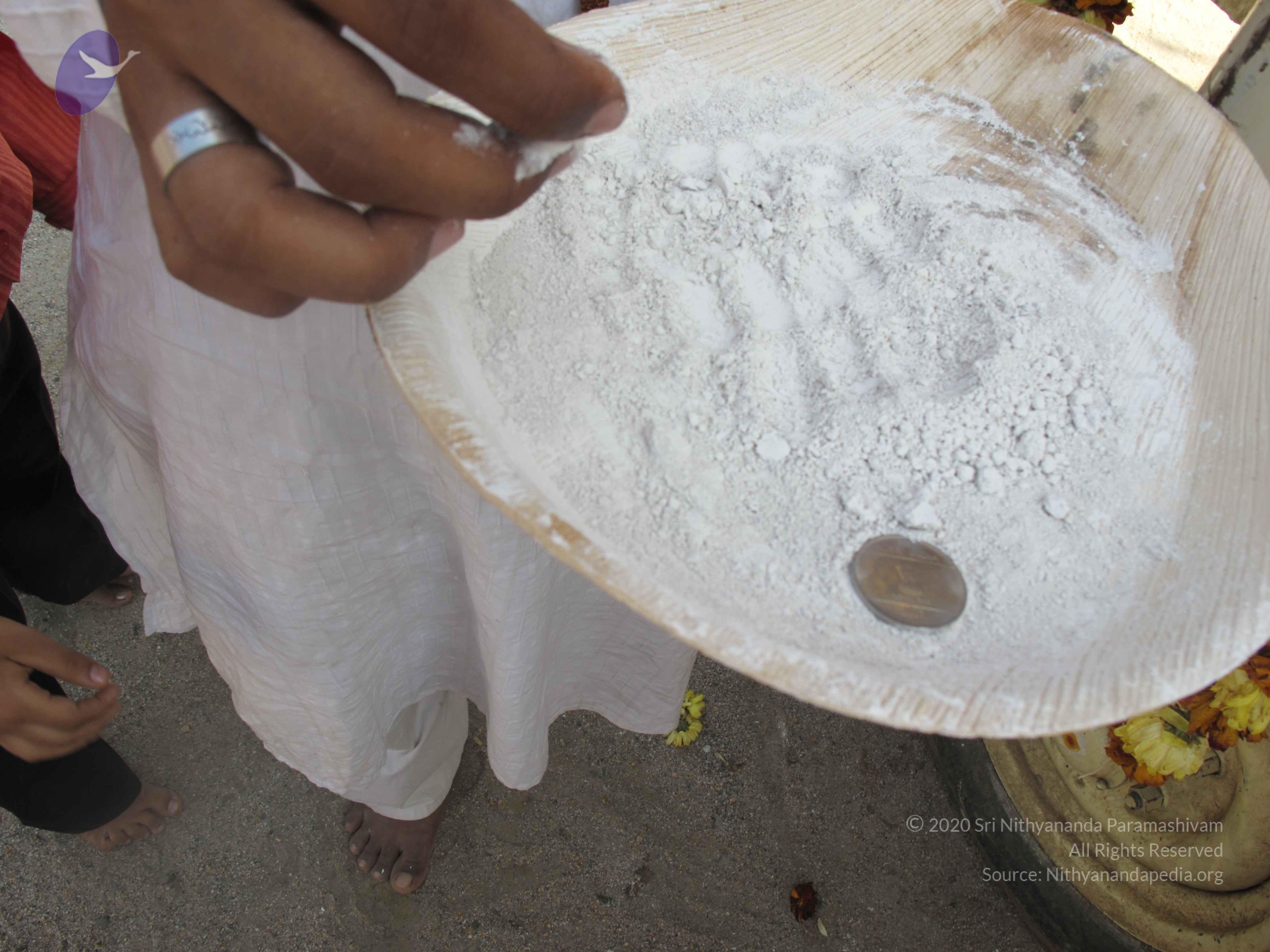 20100101_Photo_1296_IMG_1954_CMP_WM