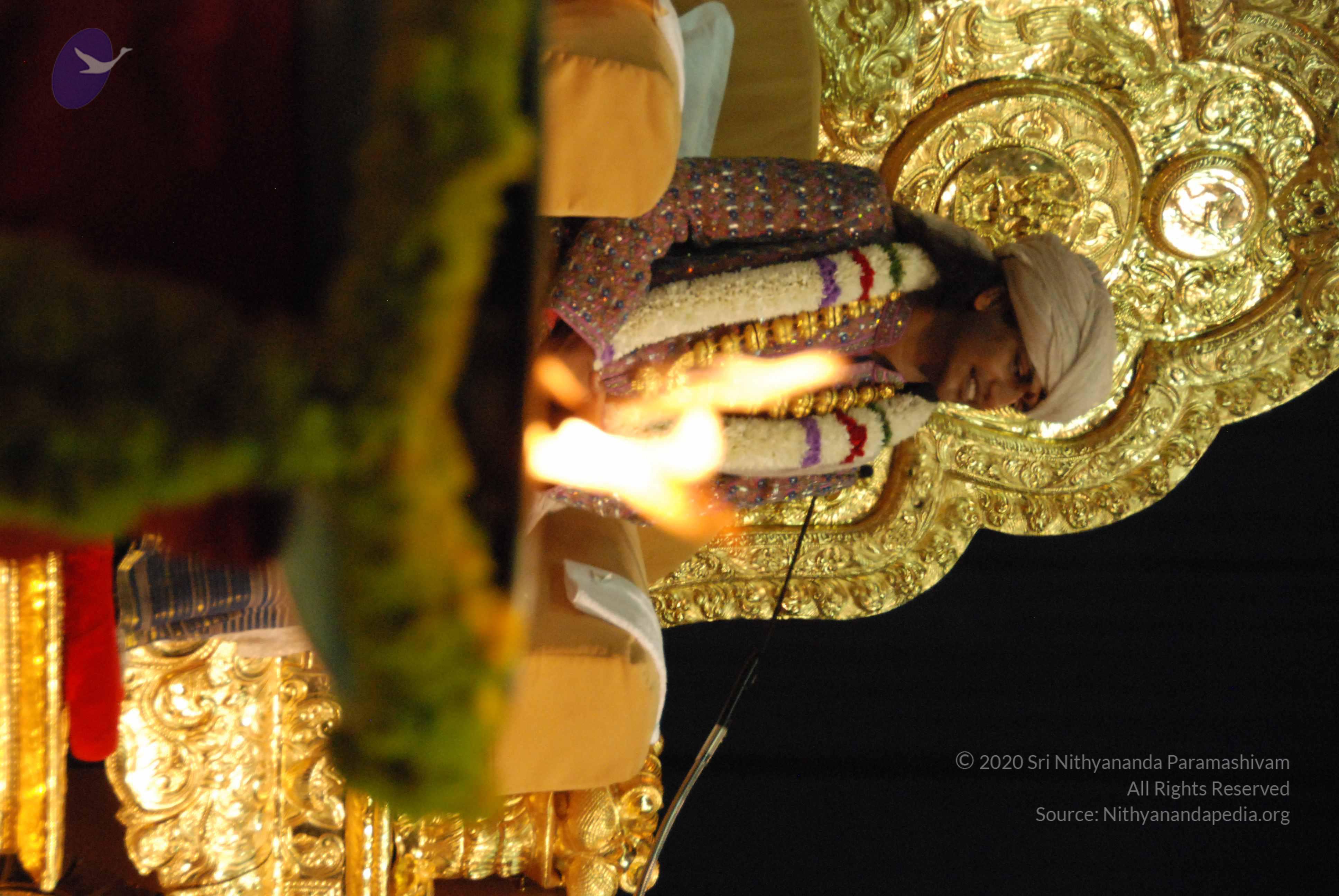 20100101_Photo_1344_DSC_2603_CMP_WM