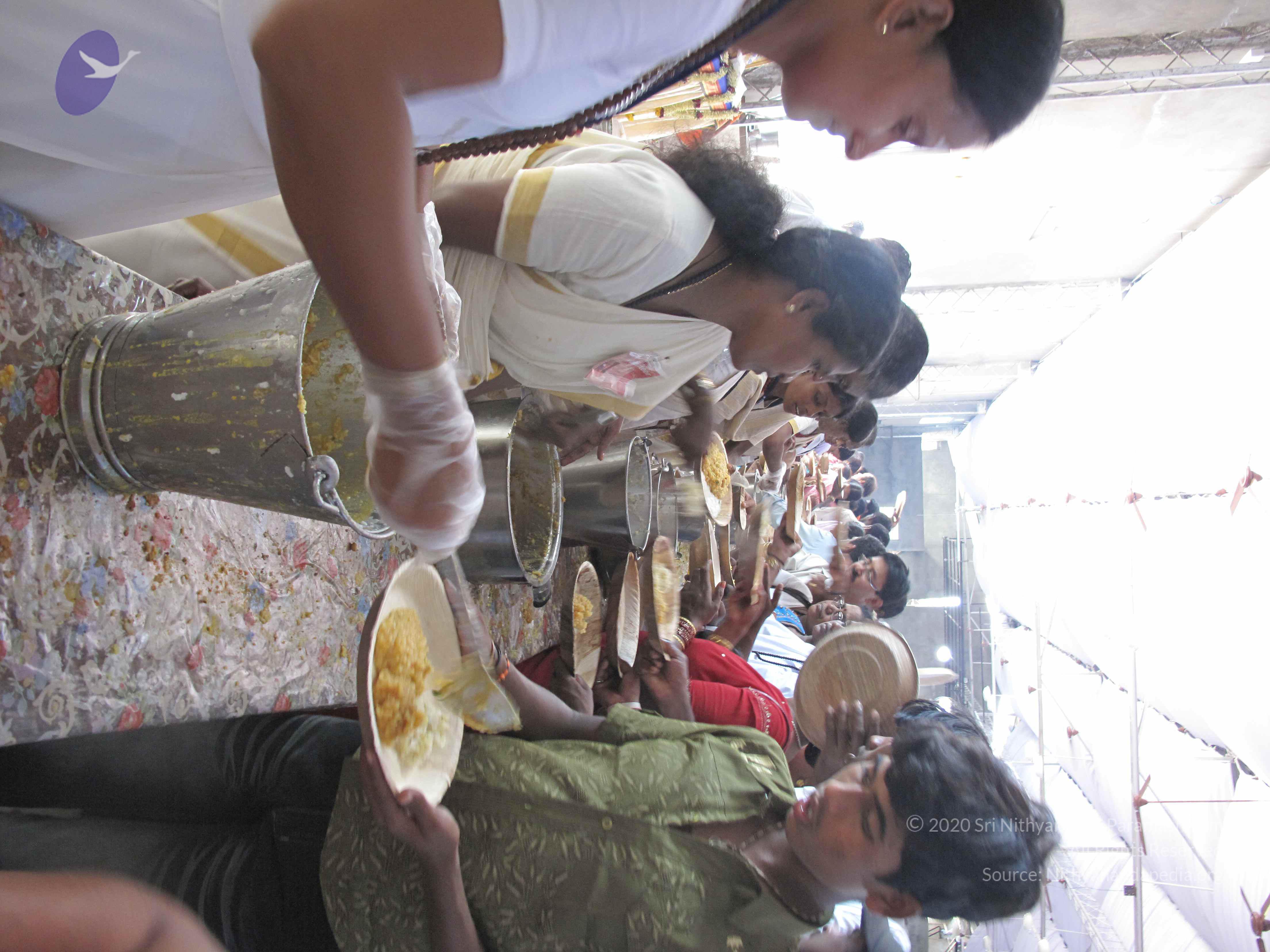 20100101_Photo_1356_IMG_1929_CMP_WM