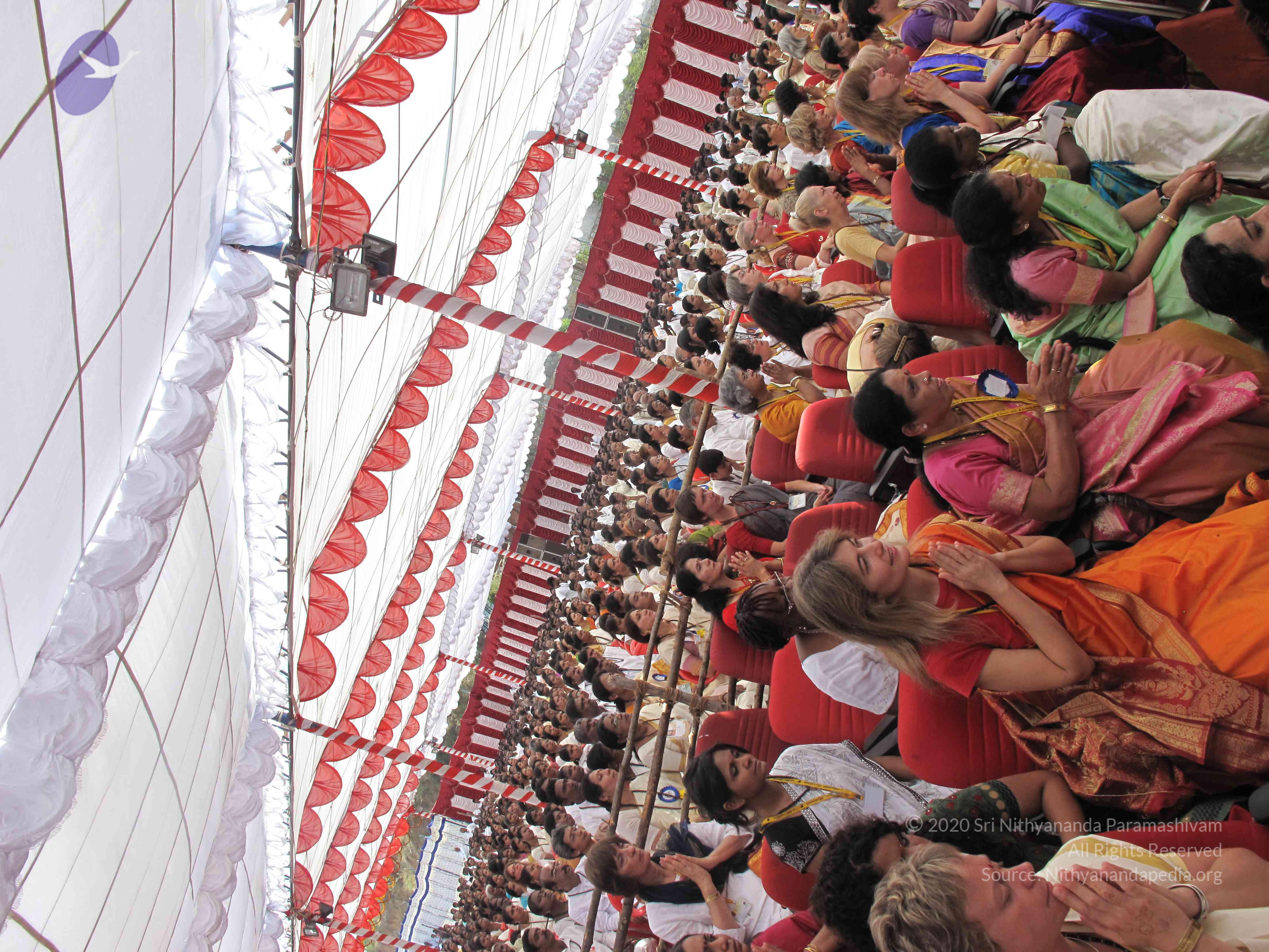 20100101_Photo_1383_IMG_1769_CMP_WM