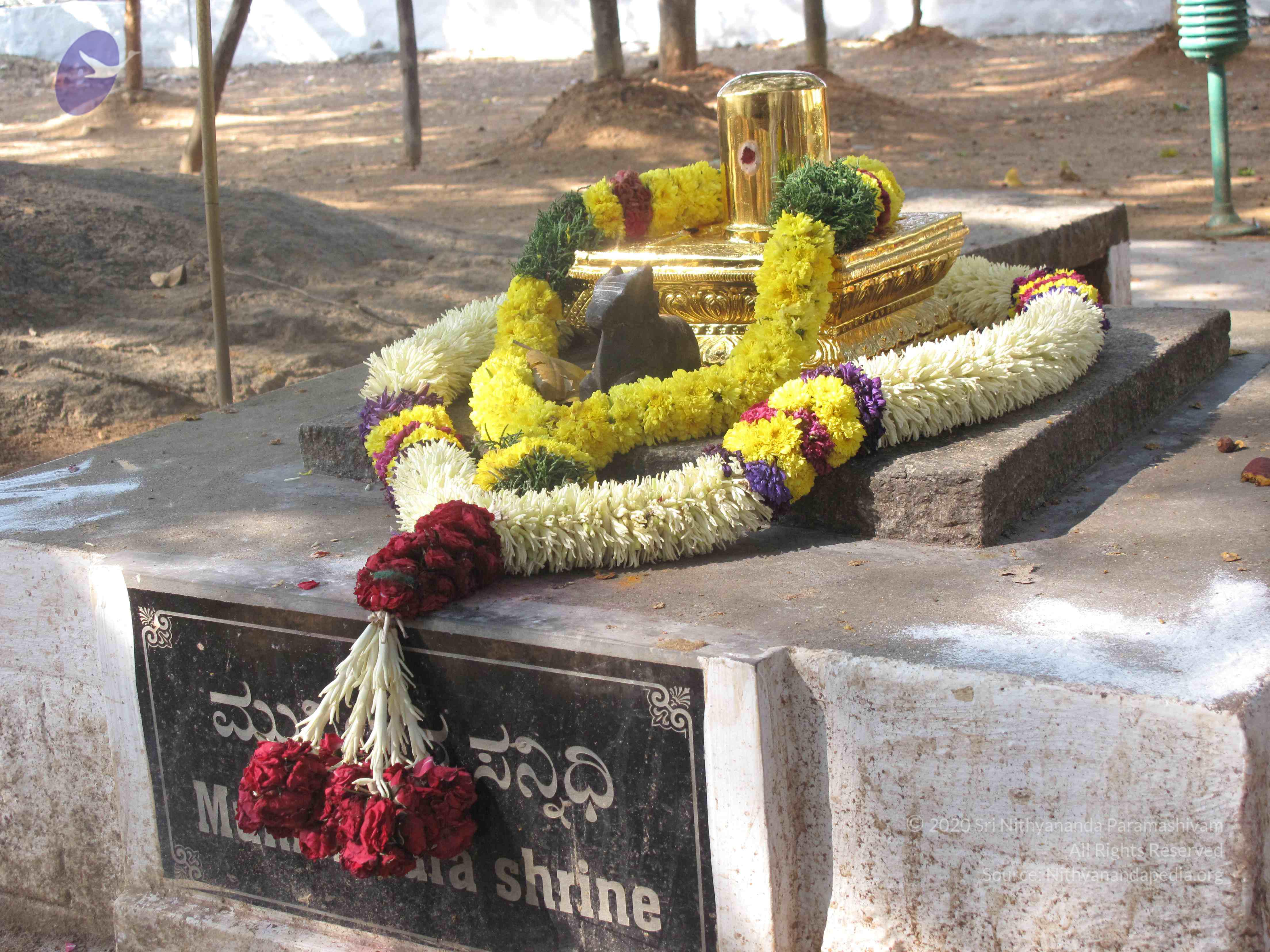 20100101_Photo_1417_IMG_1979_CMP_WM