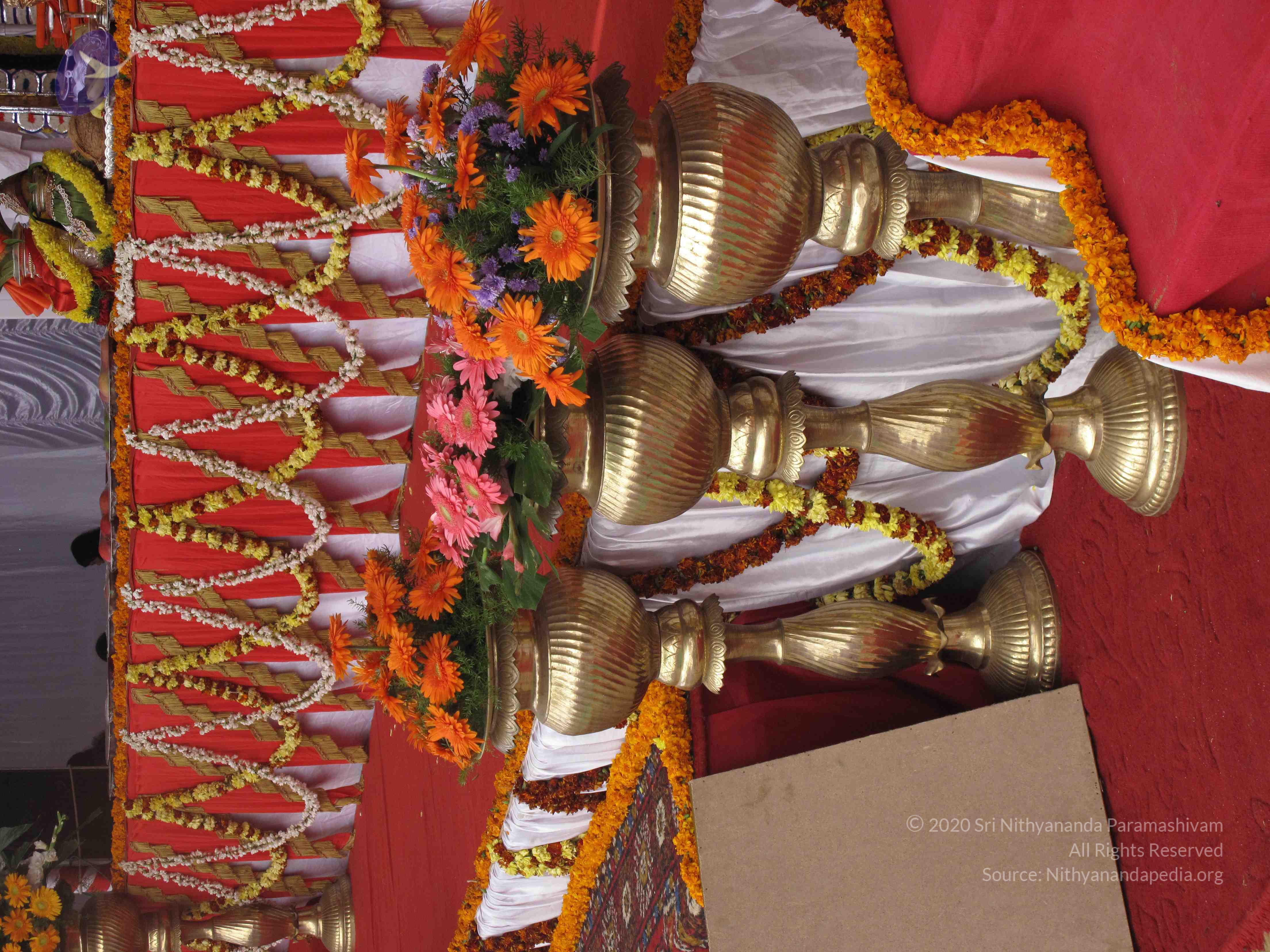 20100101_Photo_1426_IMG_1706_CMP_WM