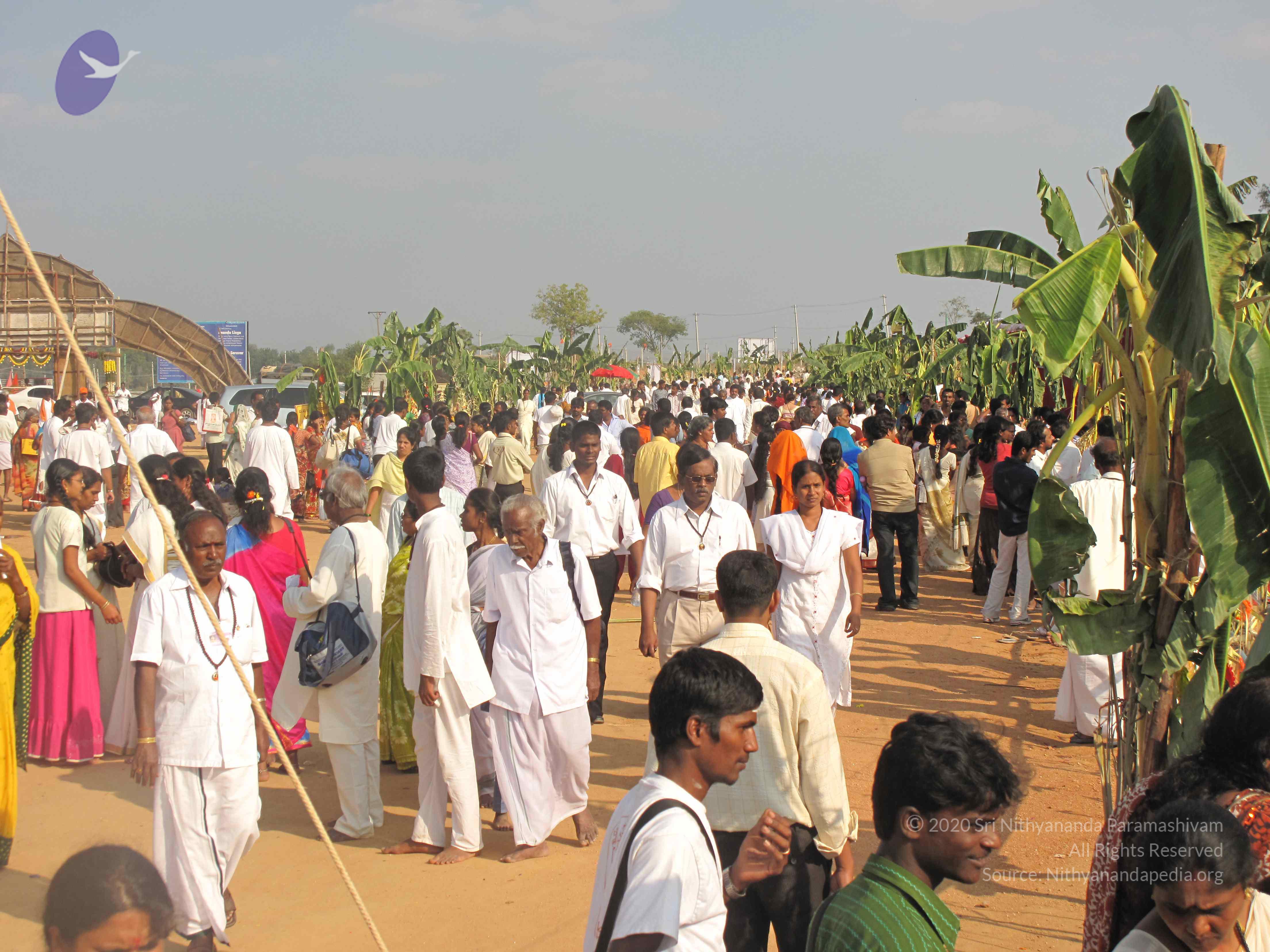 20100101_Photo_1468_IMG_2018_CMP_WM