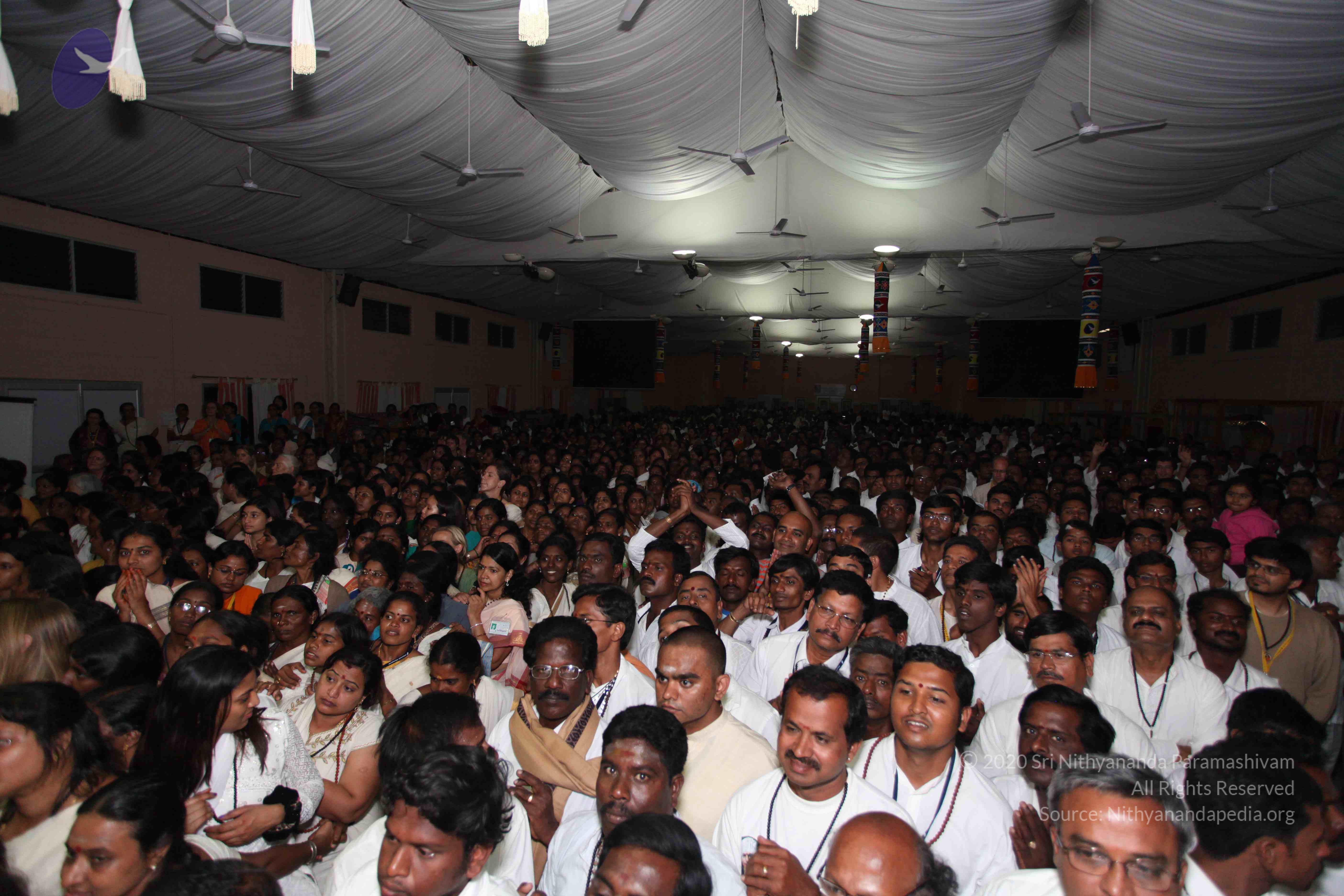 20100101_Photo_1504_IMG_5618_CMP_WM