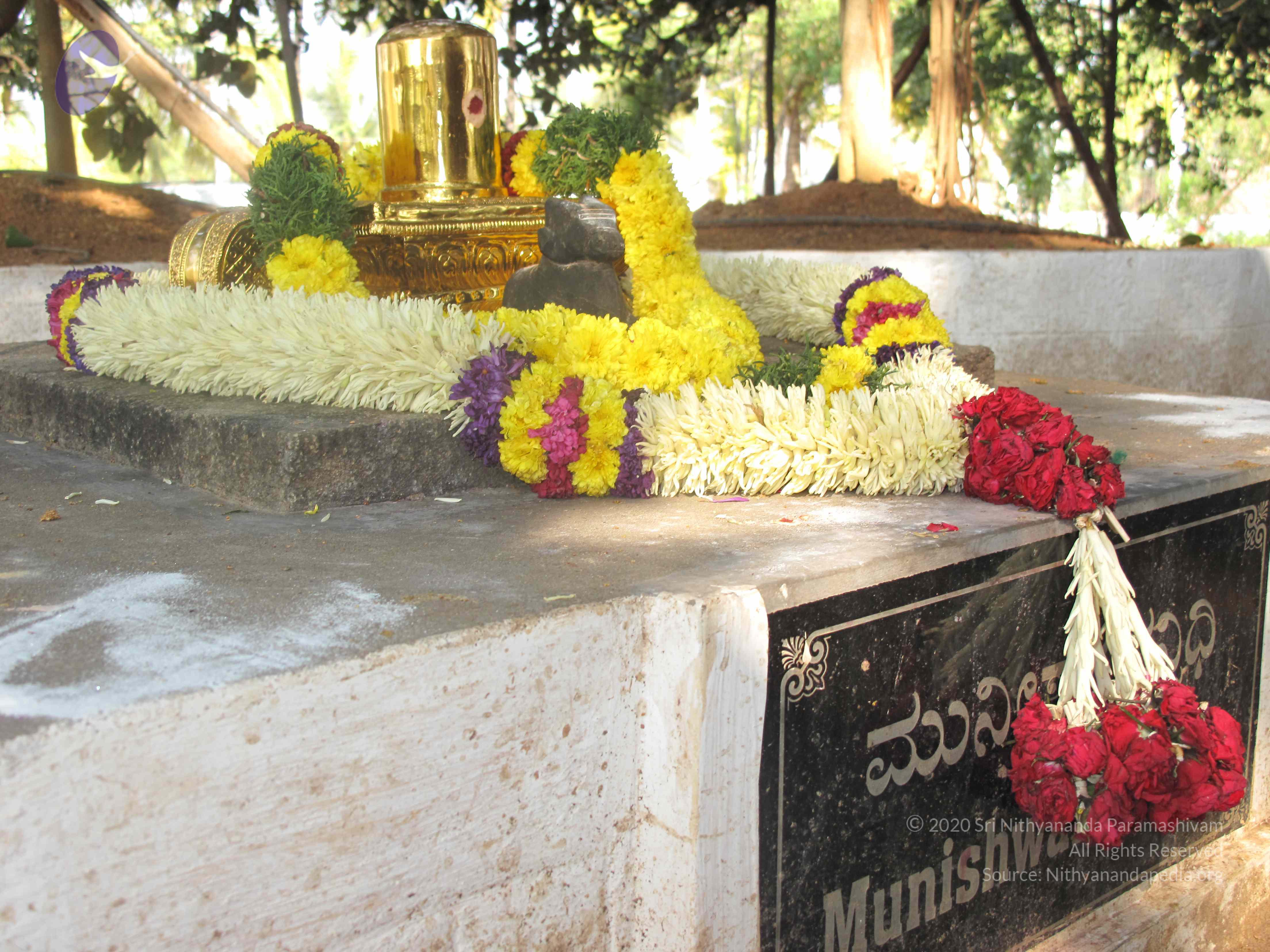 20100101_Photo_1533_IMG_1984_CMP_WM