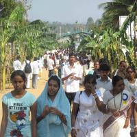 20100101_Photo_1567_IMG_1950_CMP_WM