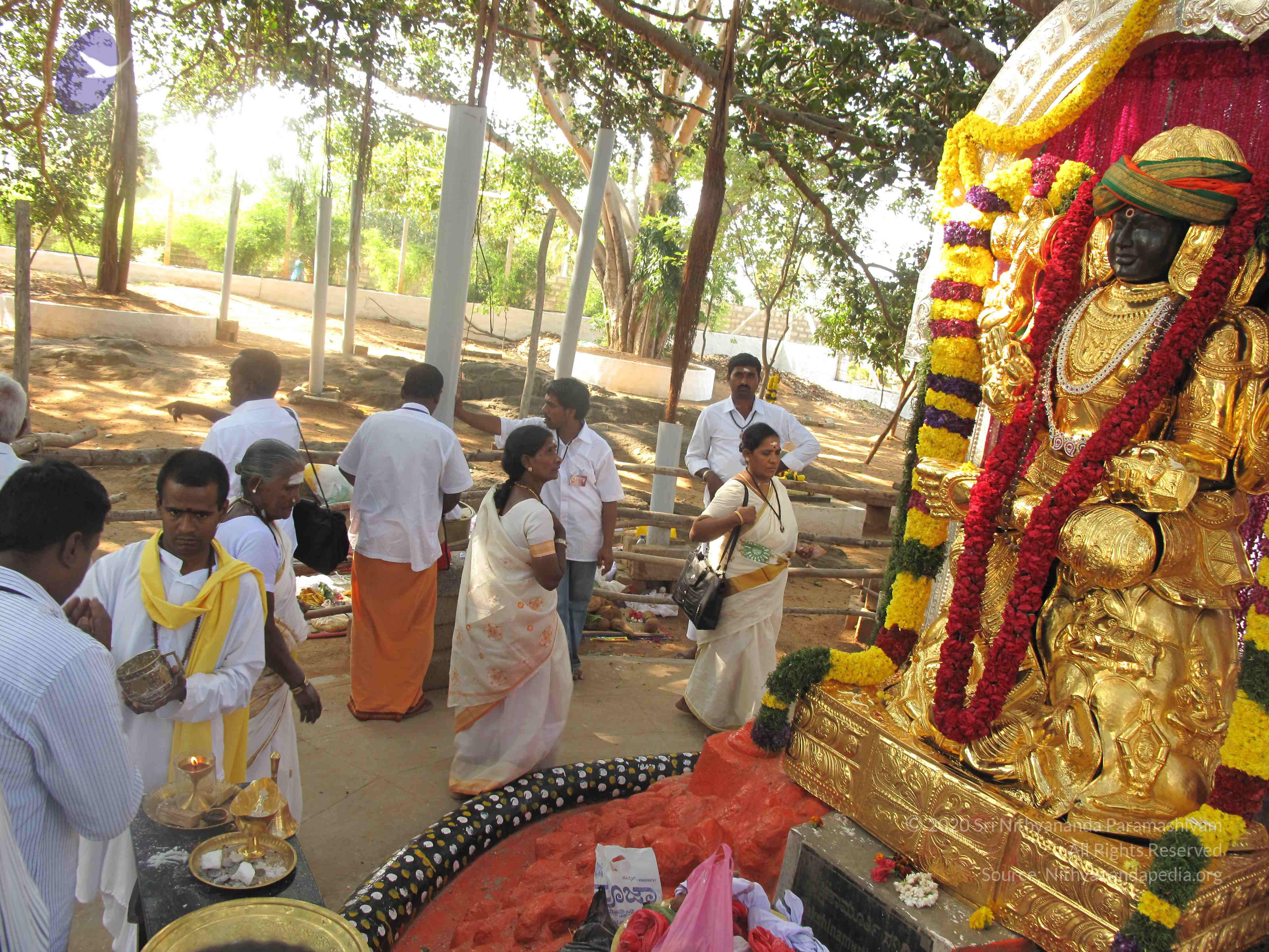 20100101_Photo_1590_IMG_1989_CMP_WM