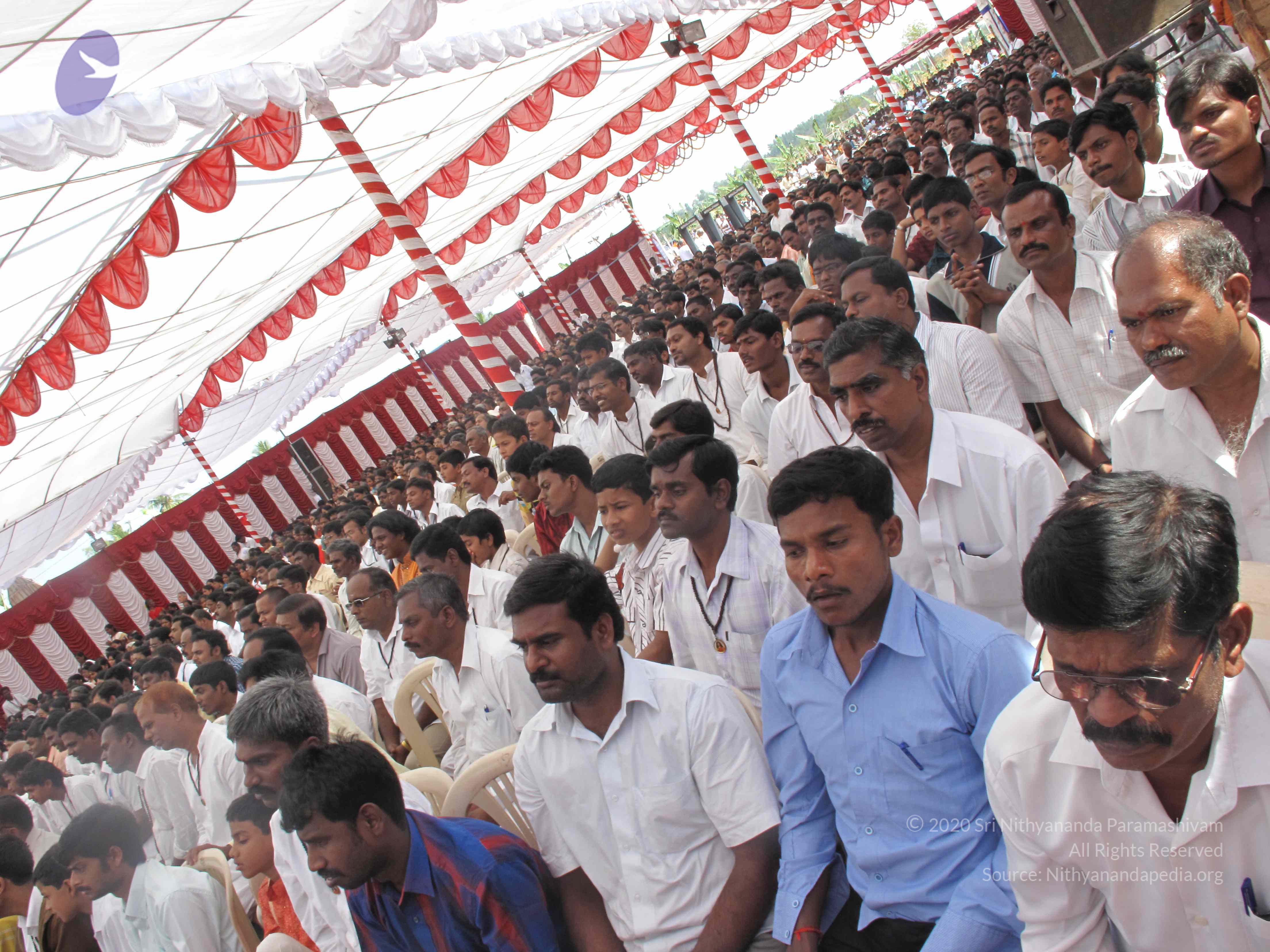 20100101_Photo_1594_IMG_1849_CMP_WM