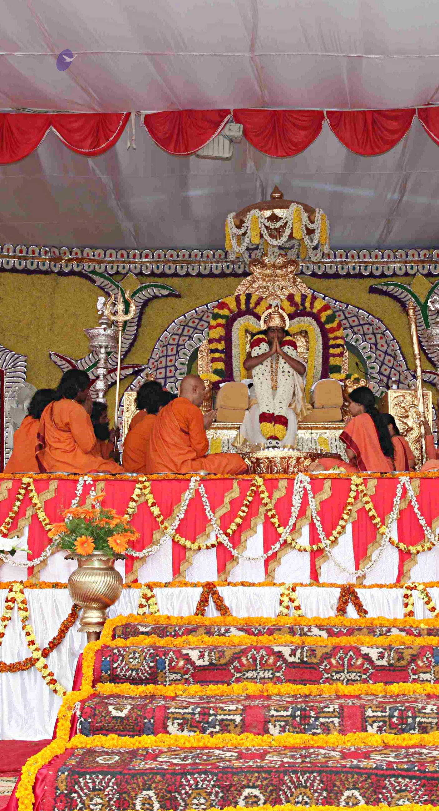 IMG_4821_CMP_WM_batch