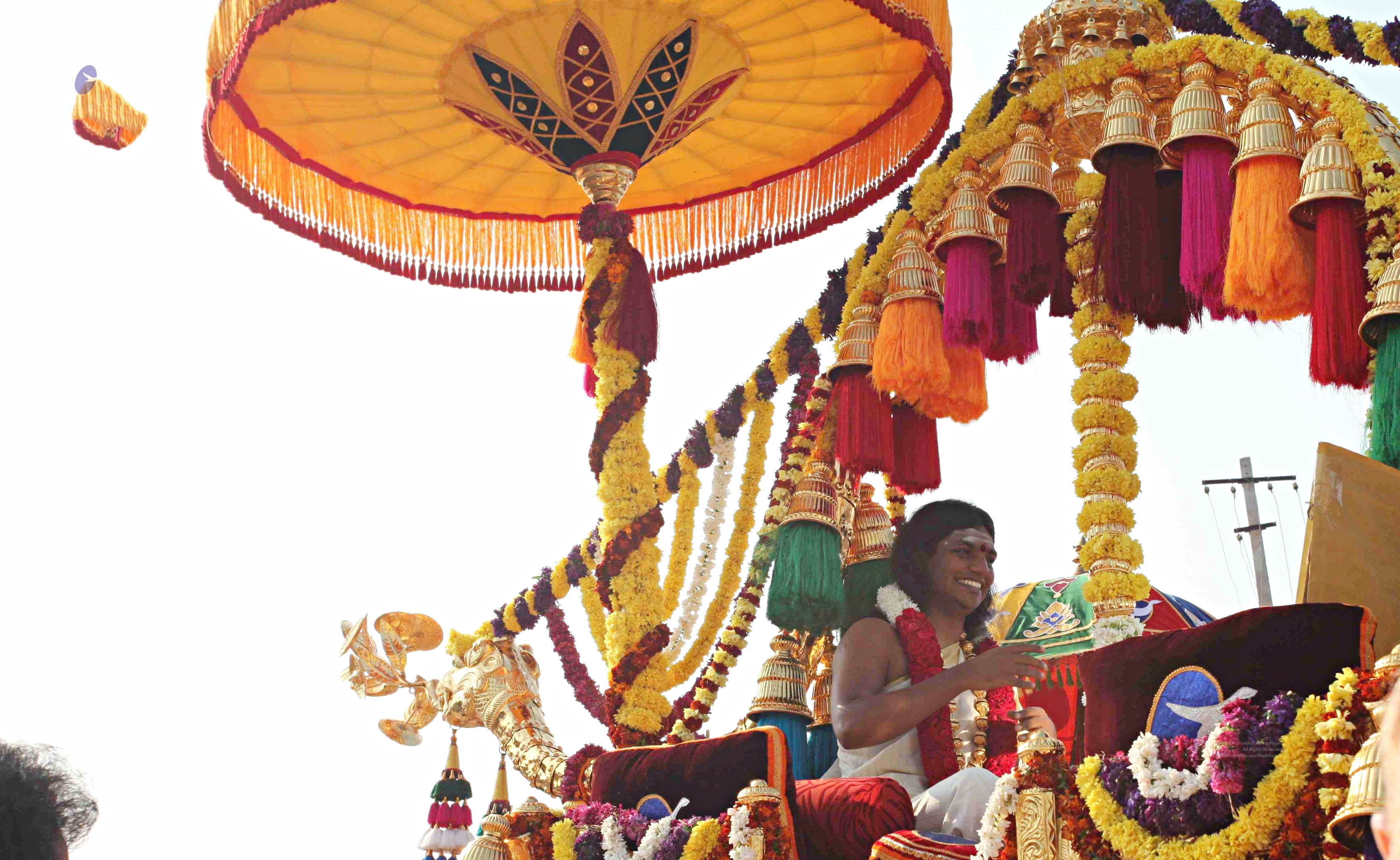 IMG_4346_CMP_WM_batch