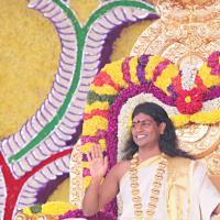 IMG_4801_CMP_WM_batch