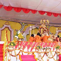 IMG_4816_CMP_WM_batch