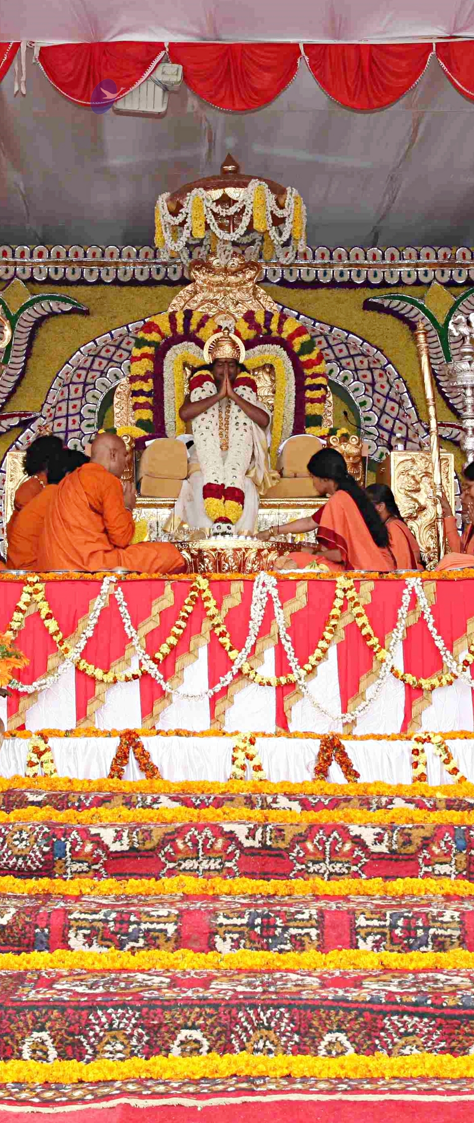 IMG_4818_CMP_WM_batch