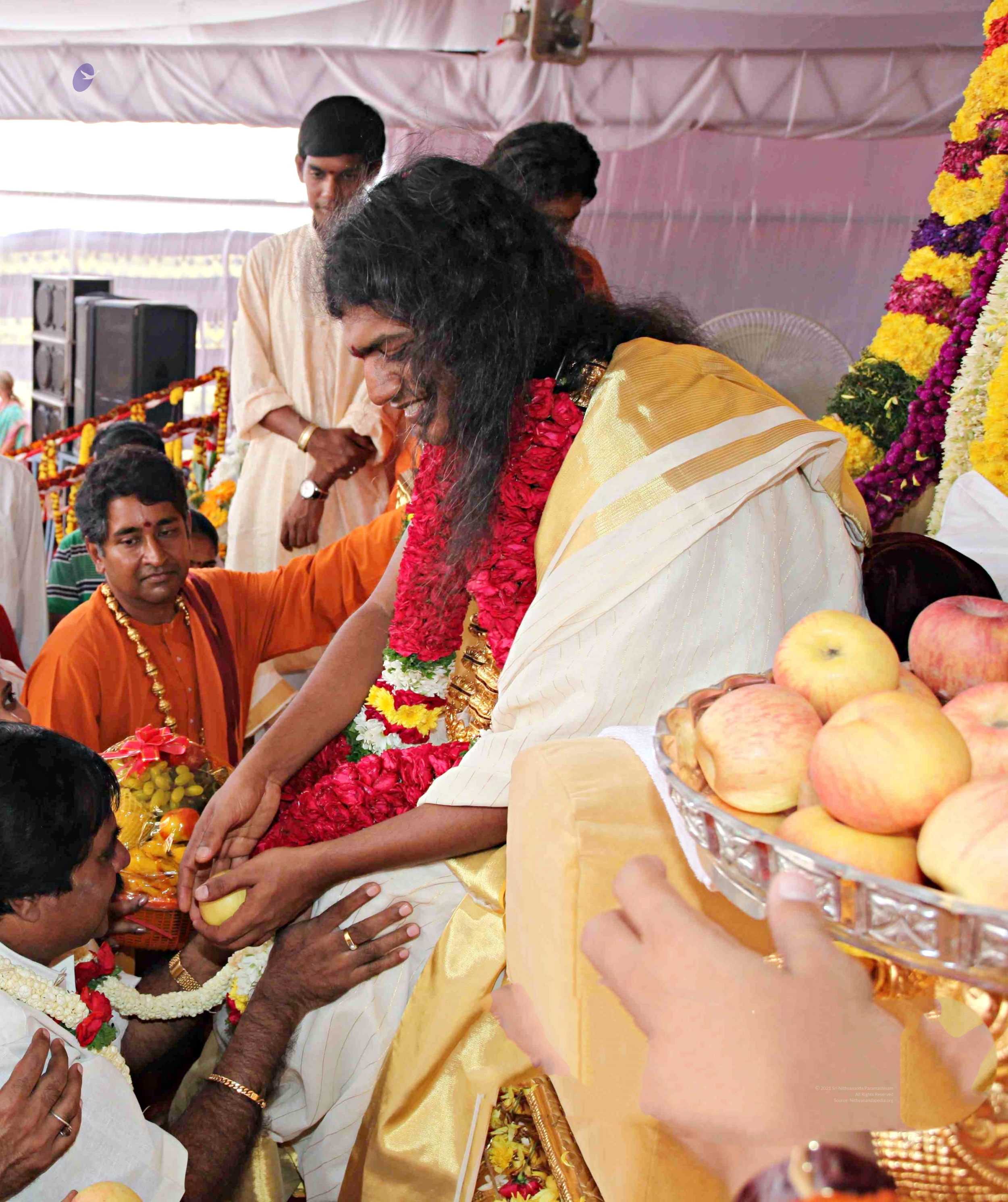 IMG_5087_CMP_WM_batch