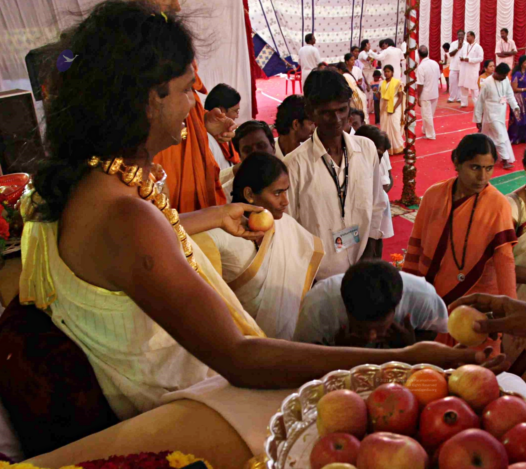 IMG_5239_CMP_WM_batch