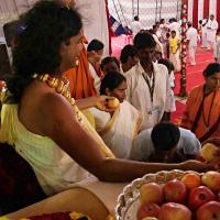 IMG_5239_CMP_WM_batch