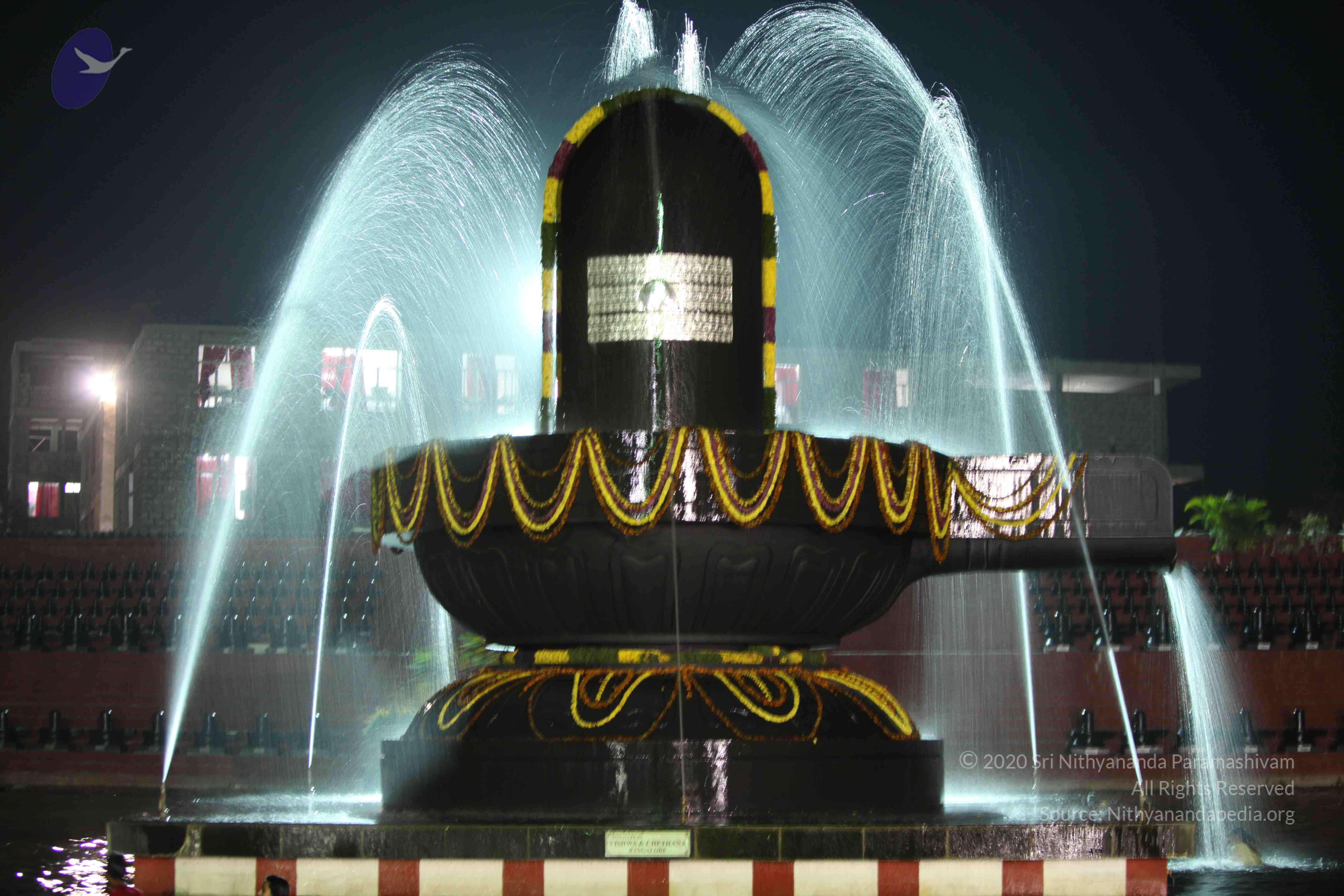 2010_01_04_IMG_0041_CMP_WM