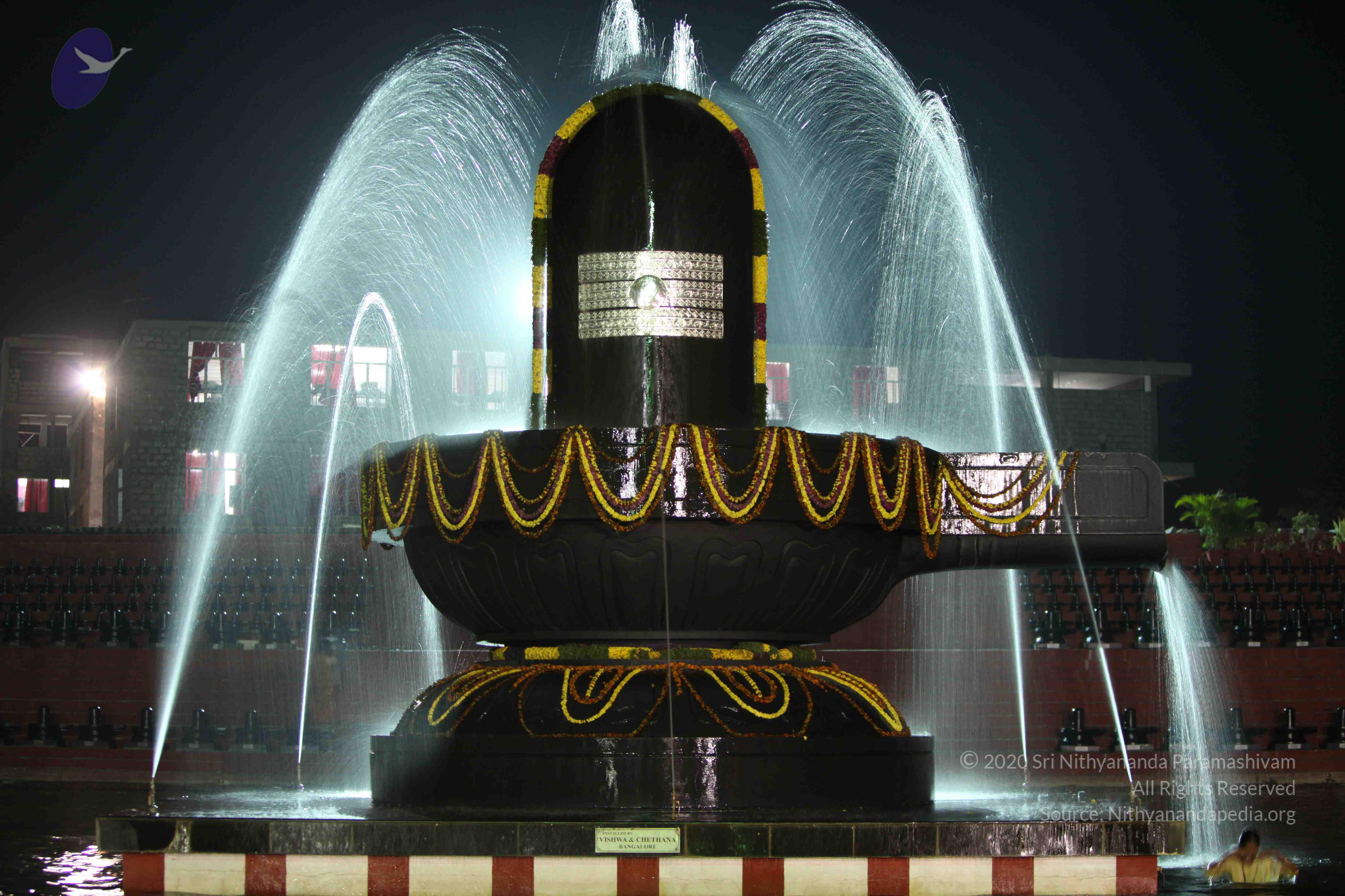 2010_01_04_IMG_0042_CMP_WM