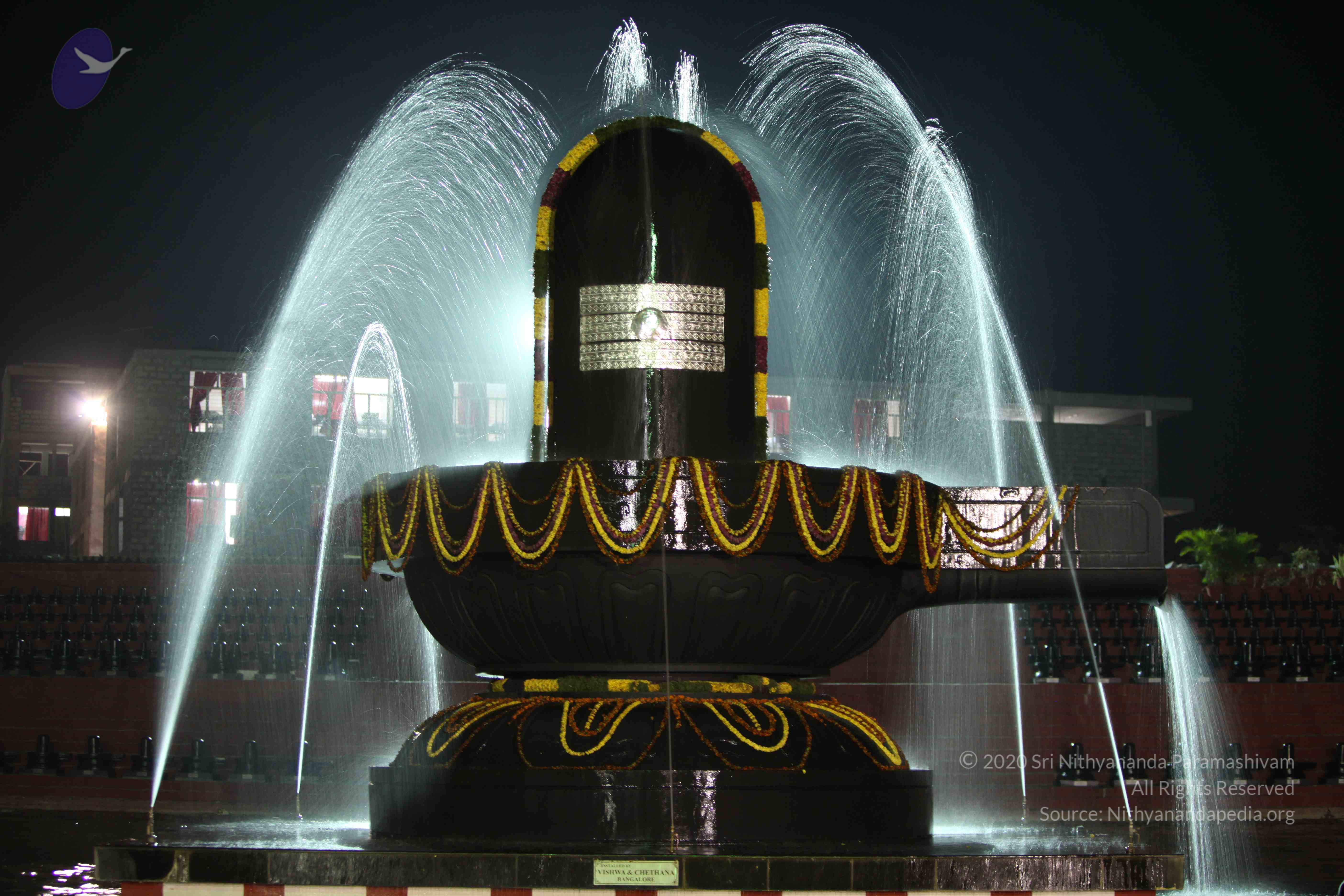 2010_01_04_IMG_0043_CMP_WM