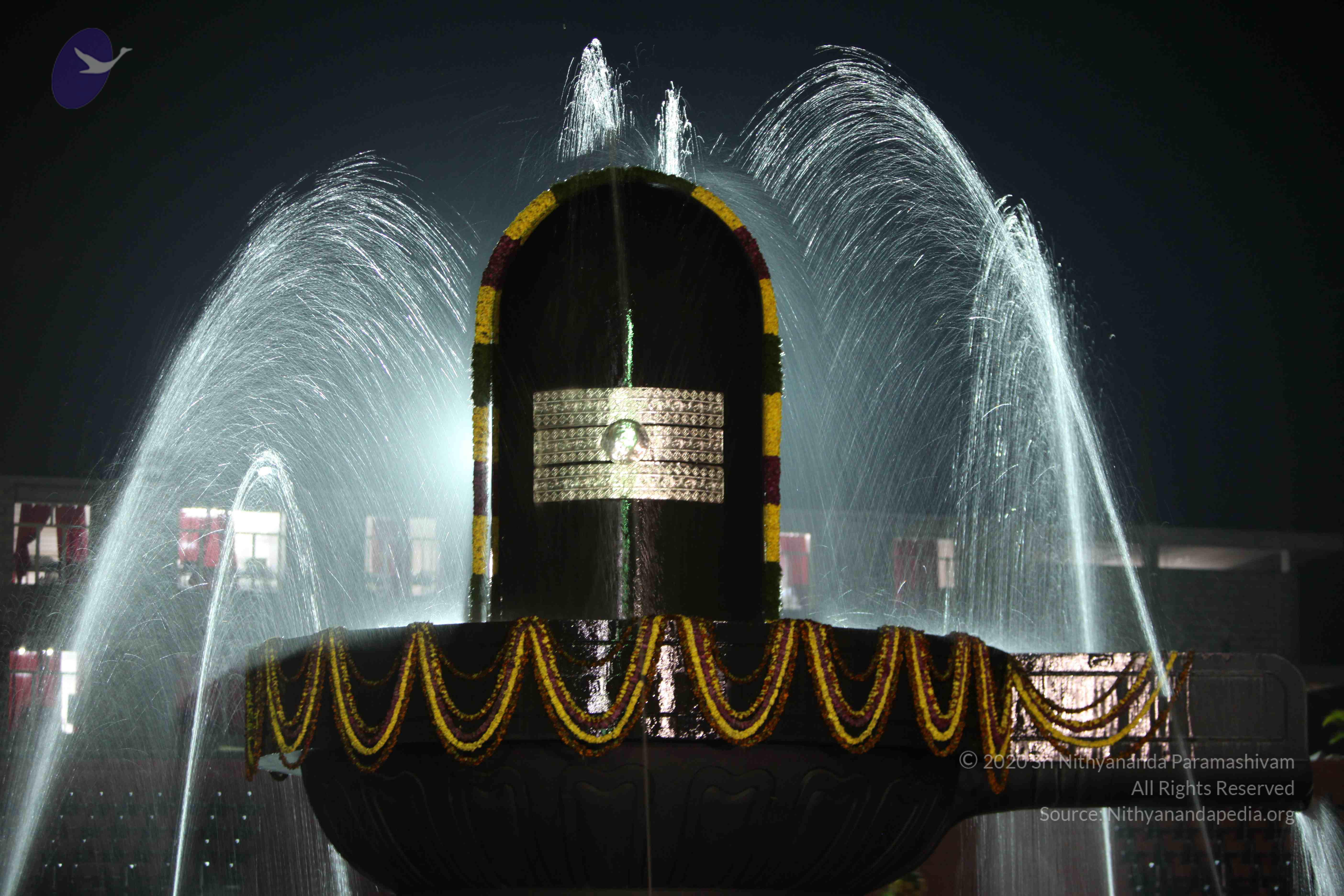 2010_01_04_IMG_0044_CMP_WM