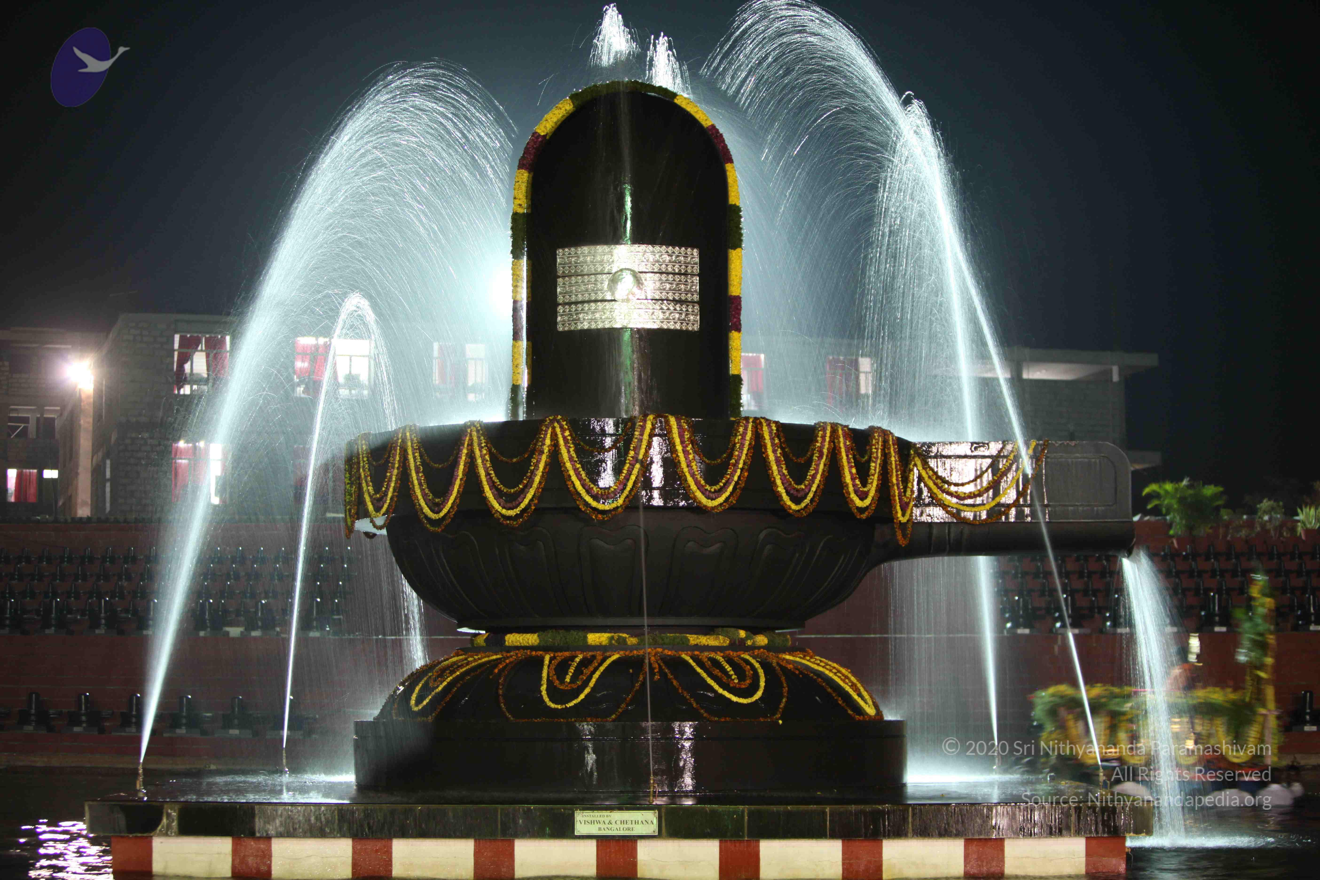 2010_01_04_IMG_0046_CMP_WM