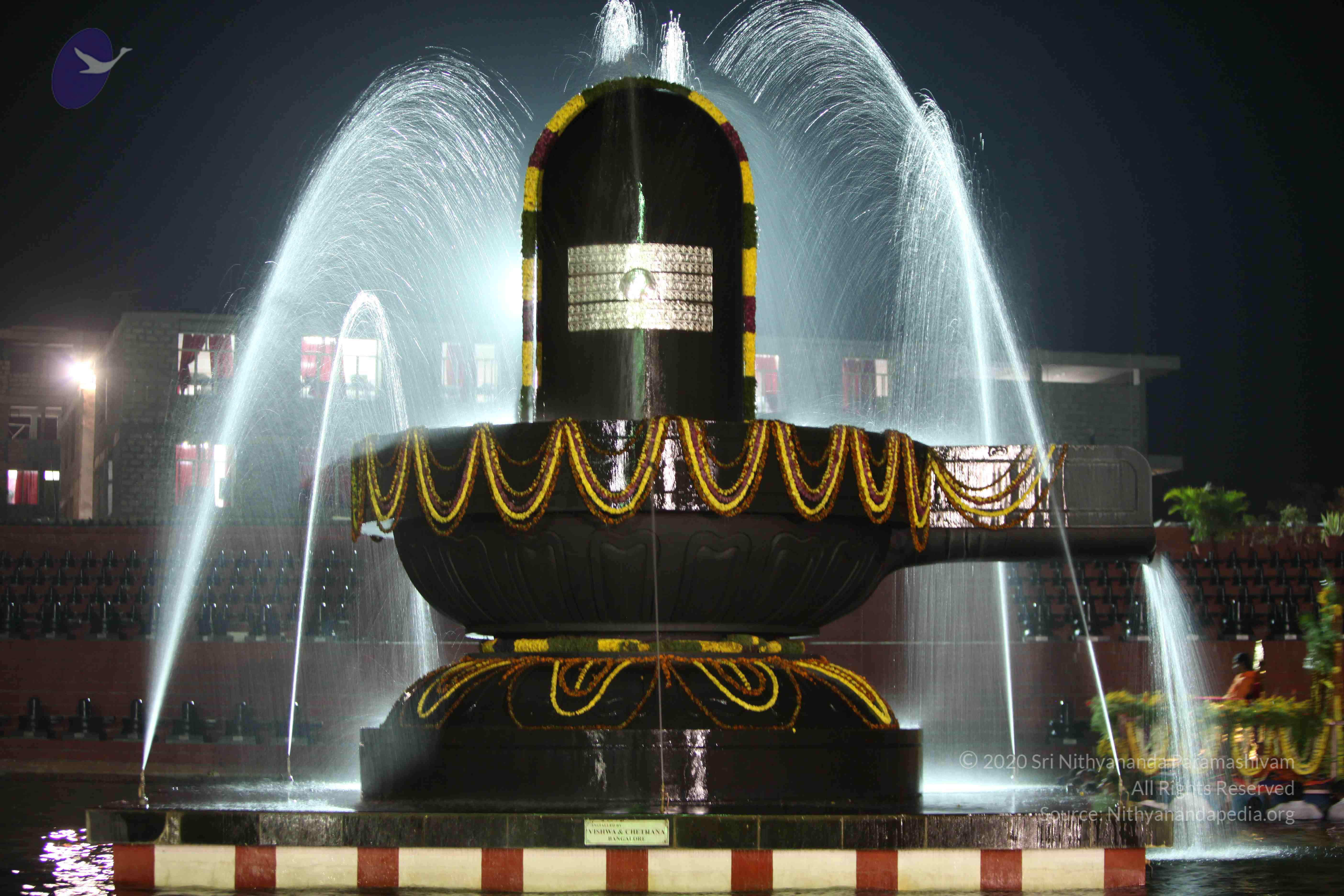 2010_01_04_IMG_0047_CMP_WM