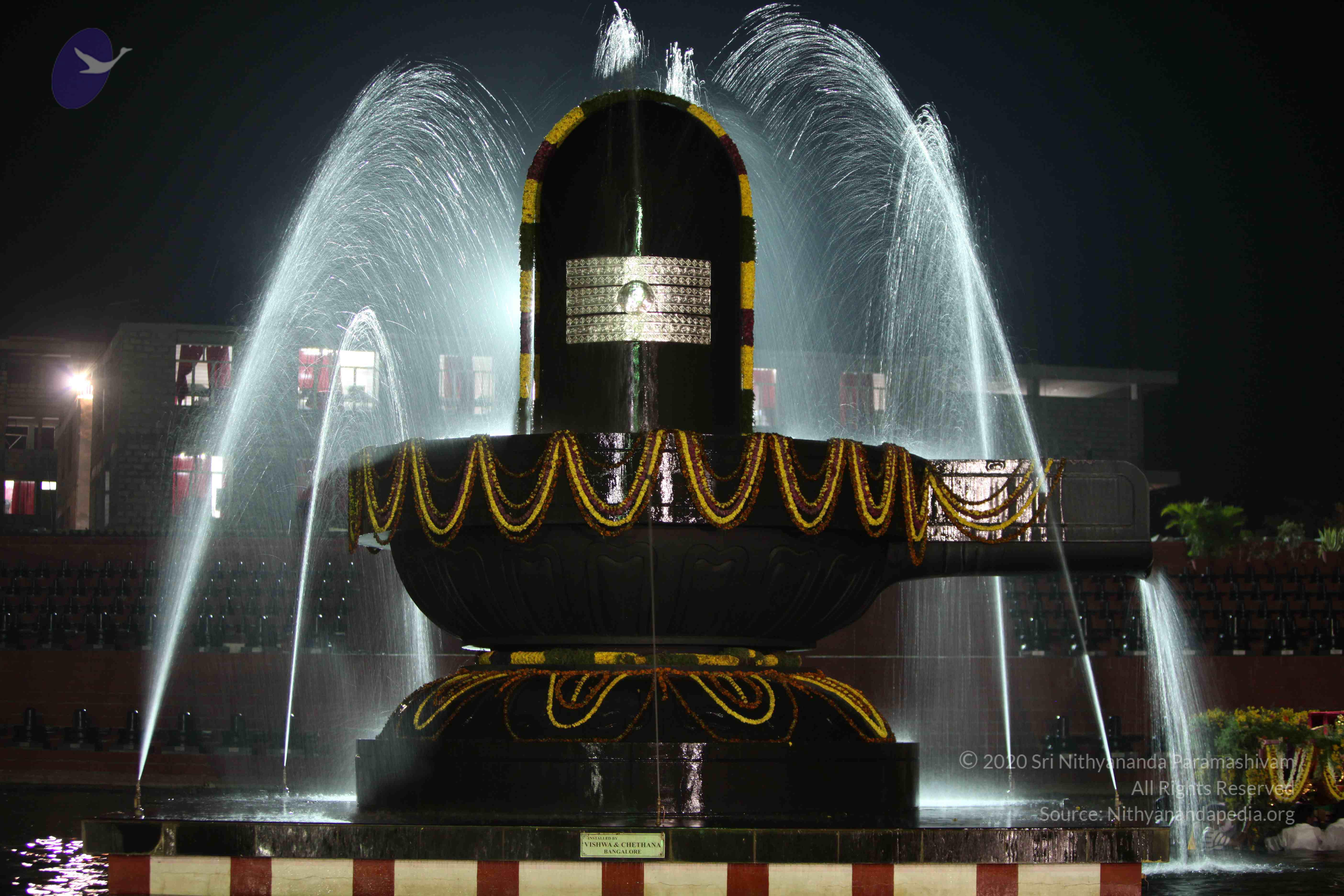 2010_01_04_IMG_0048_CMP_WM