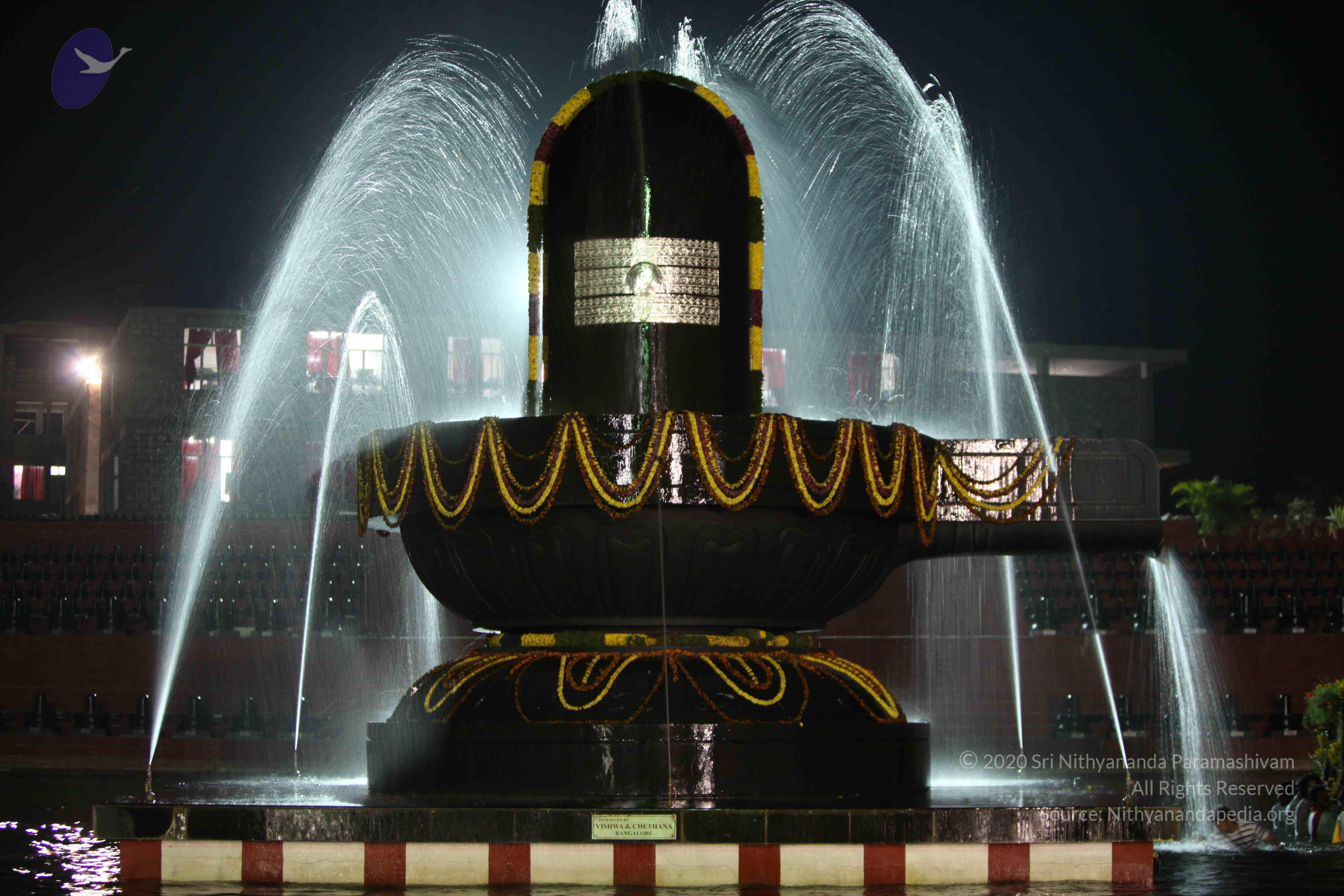 2010_01_04_IMG_0049_CMP_WM