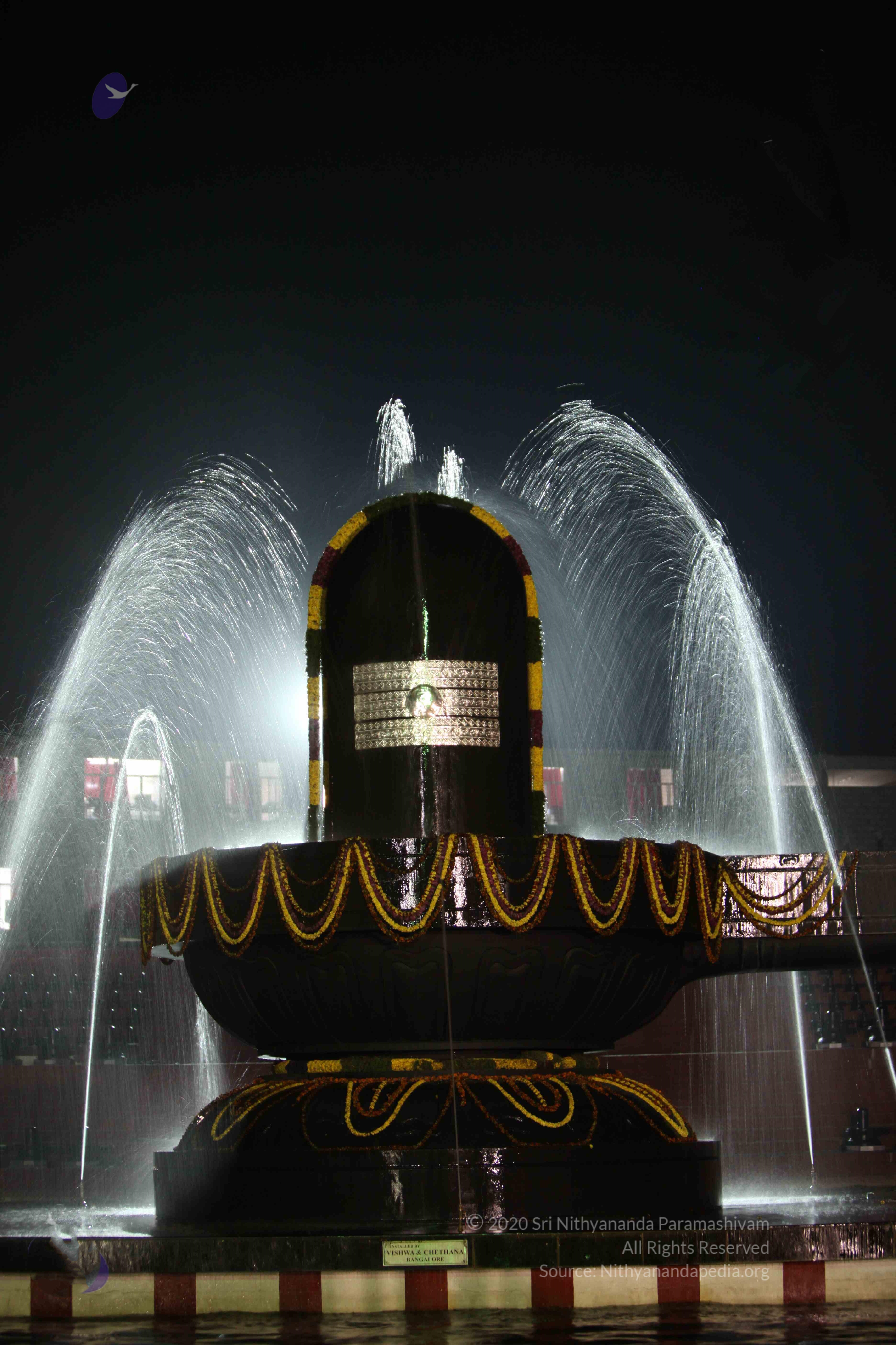 2010_01_04_IMG_0055_CMP_WM