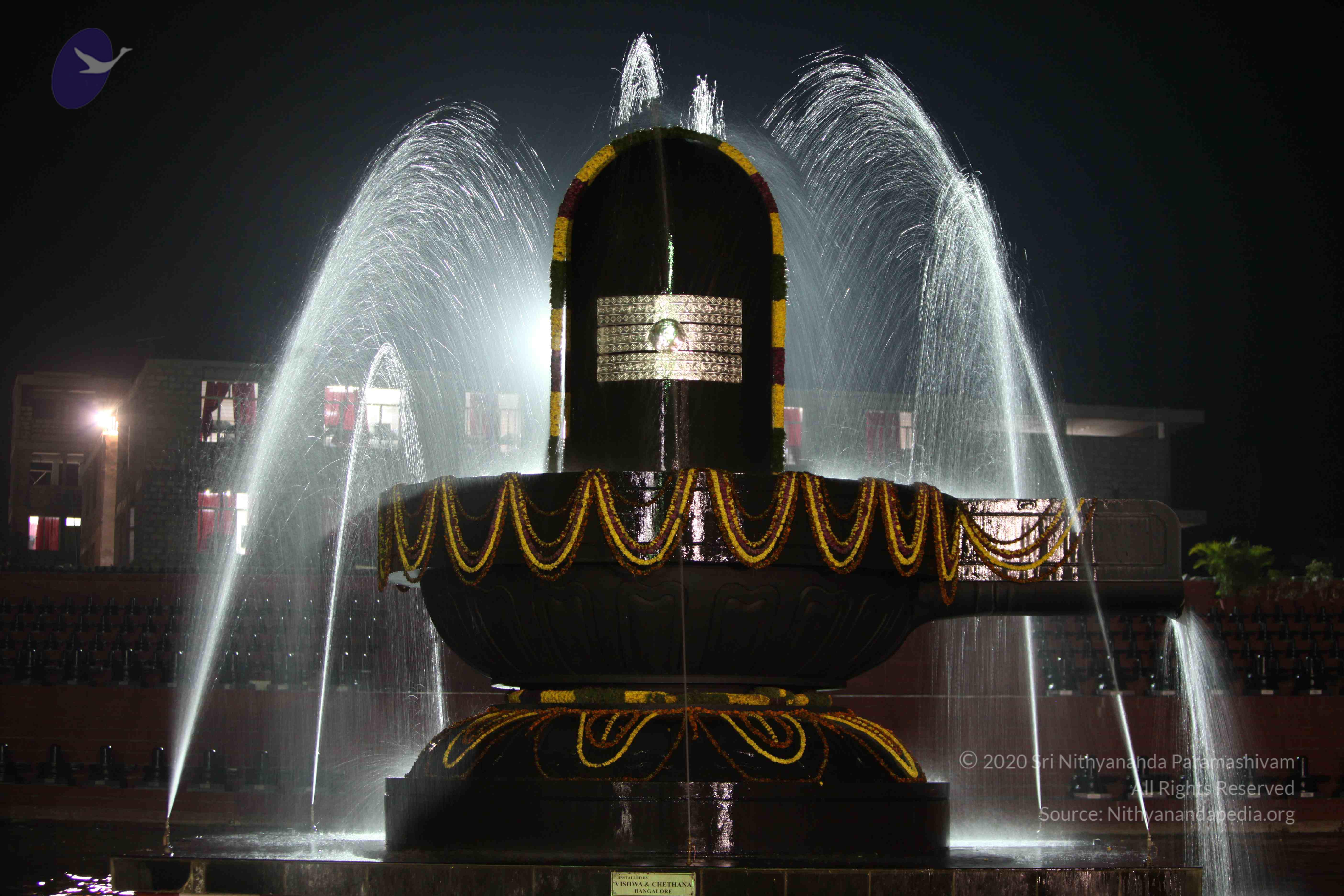 2010_01_04_IMG_0057_CMP_WM