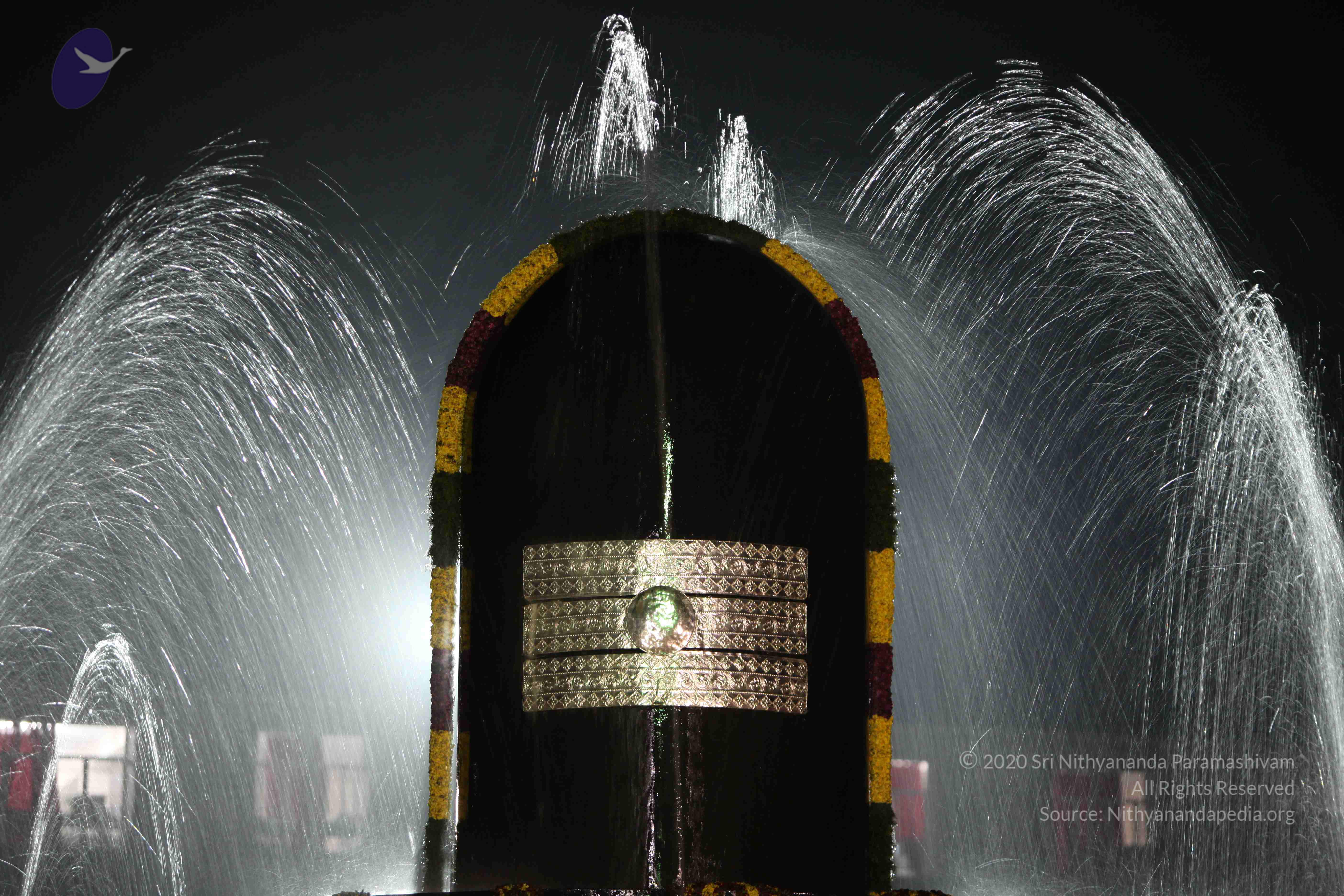 2010_01_04_IMG_0059_CMP_WM