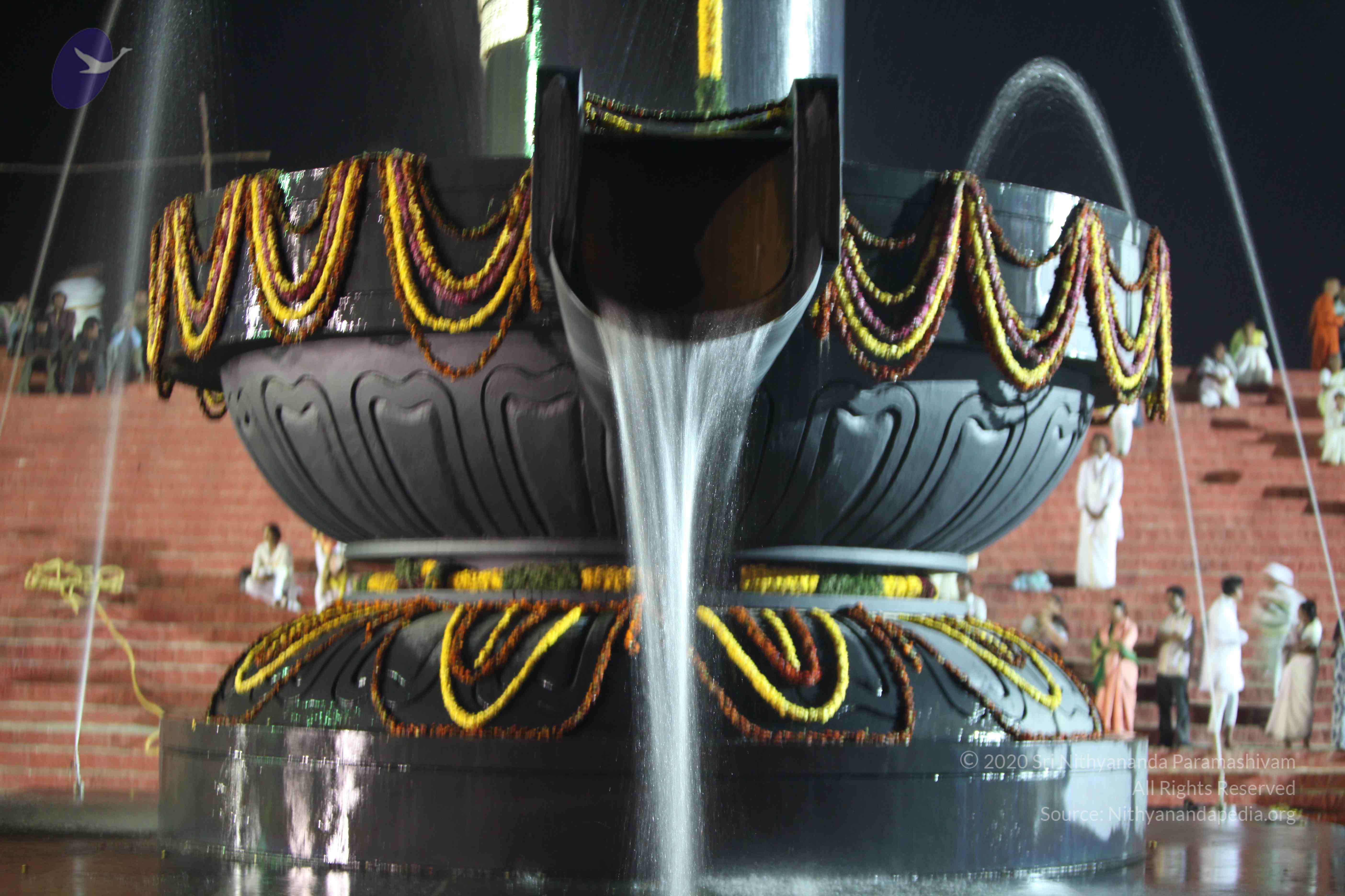 2010_01_04_IMG_0066_CMP_WM