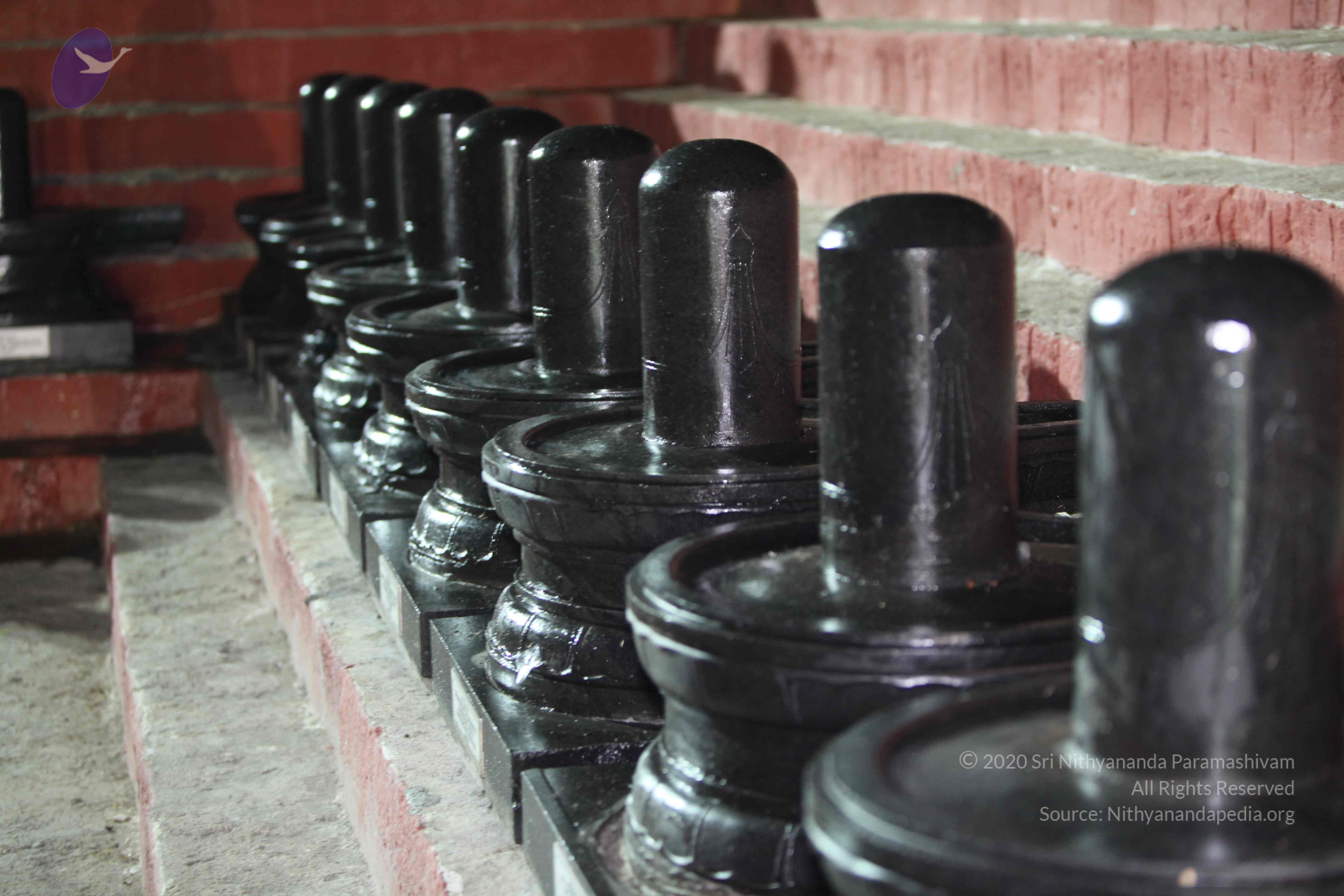 2010_01_04_IMG_0074_CMP_WM