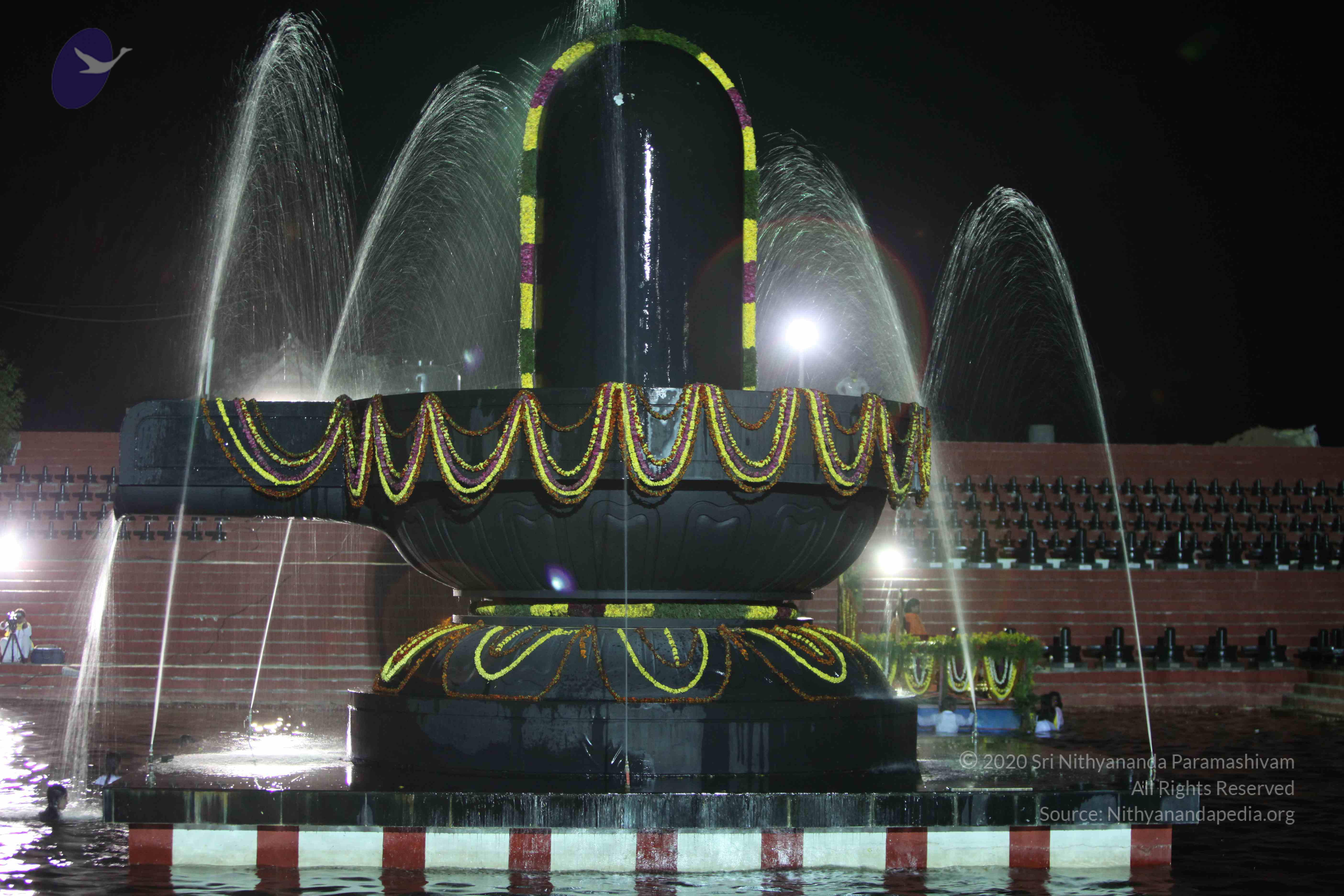 2010_01_04_IMG_0077_CMP_WM