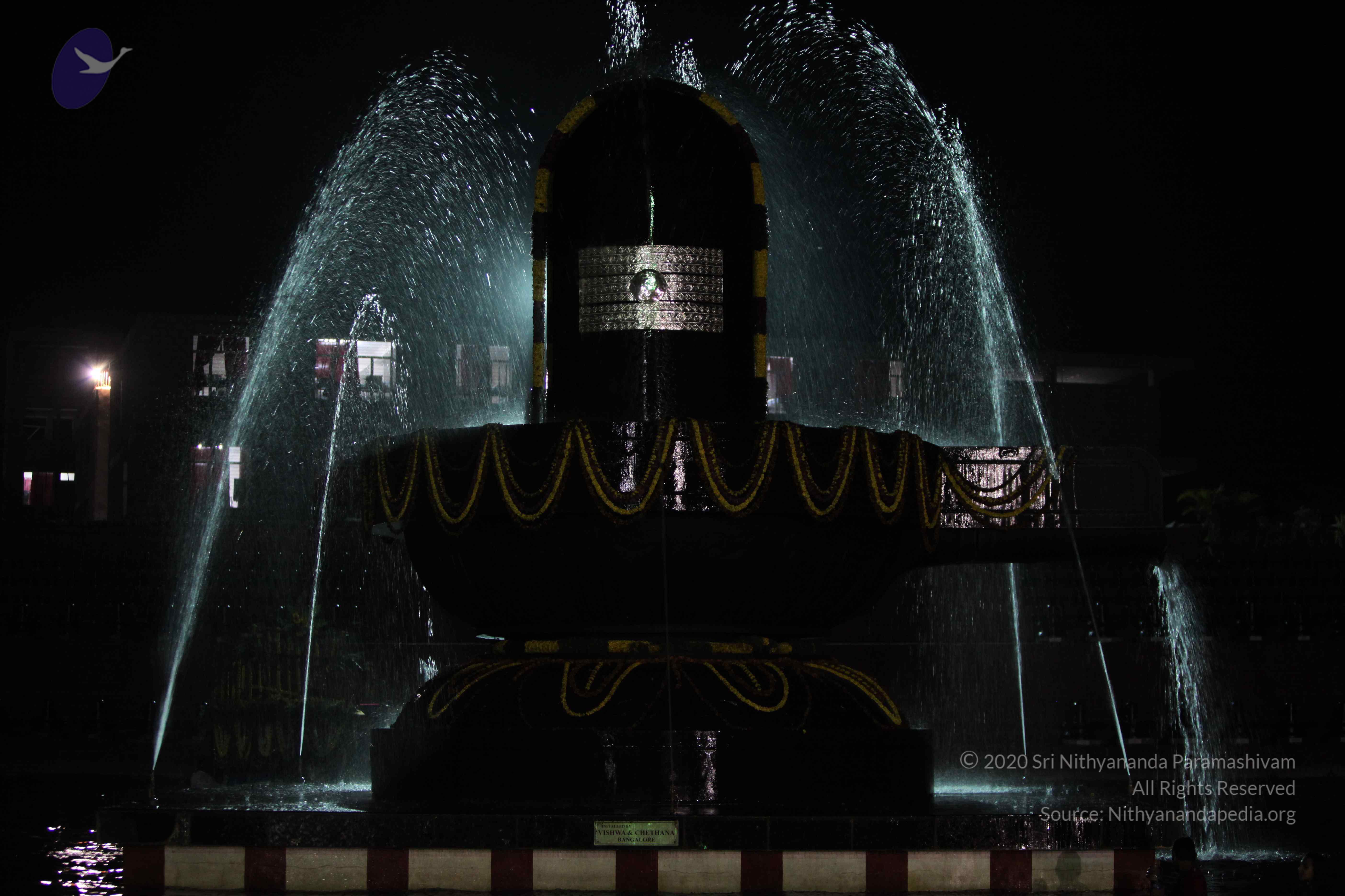 2010_01_04_IMG_0040_CMP_WM