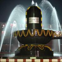 2010_01_04_IMG_0046_CMP_WM