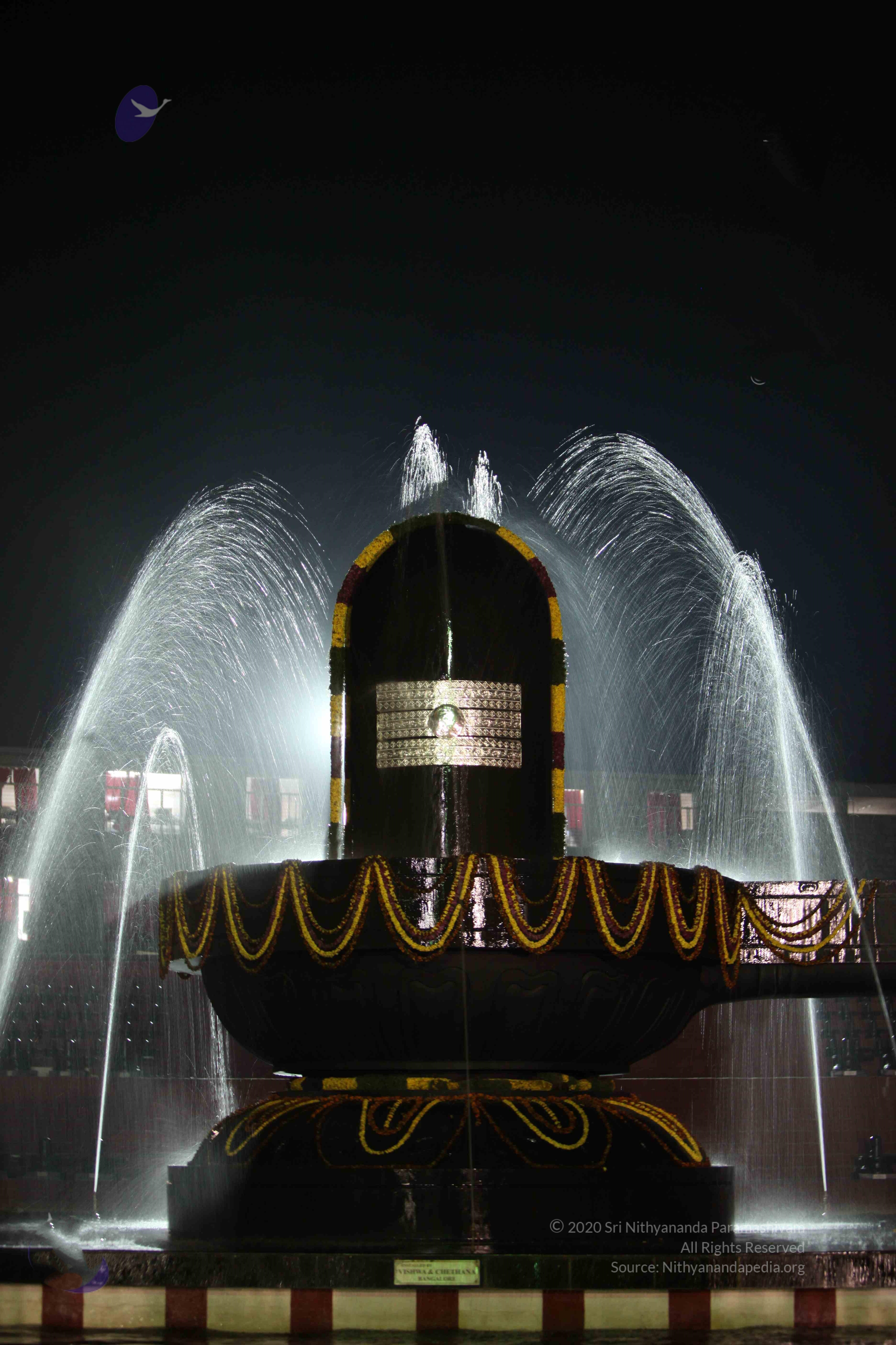 2010_01_04_IMG_0054_CMP_WM