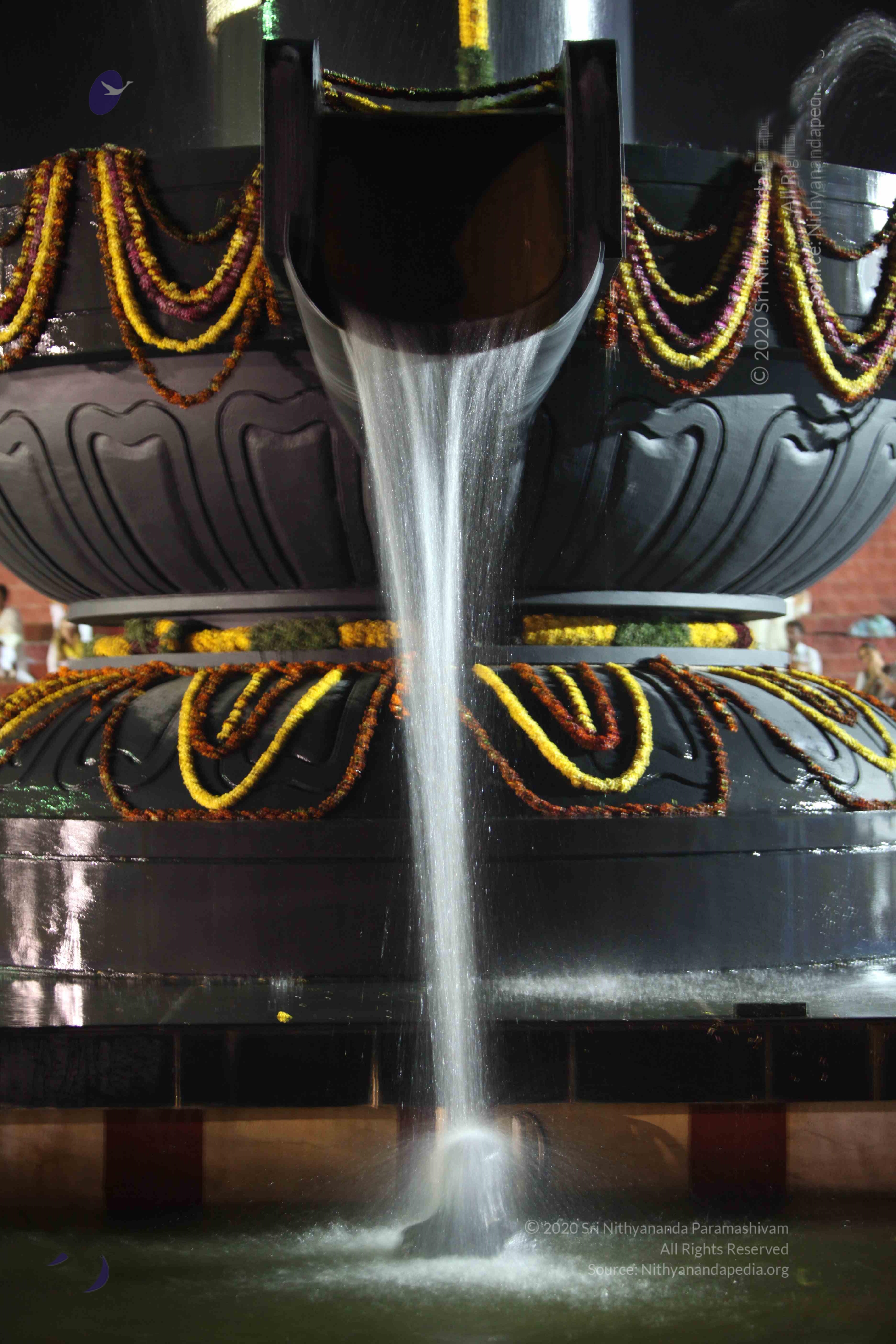 2010_01_04_IMG_0064_CMP_WM