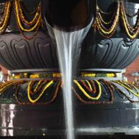 2010_01_04_IMG_0064_CMP_WM