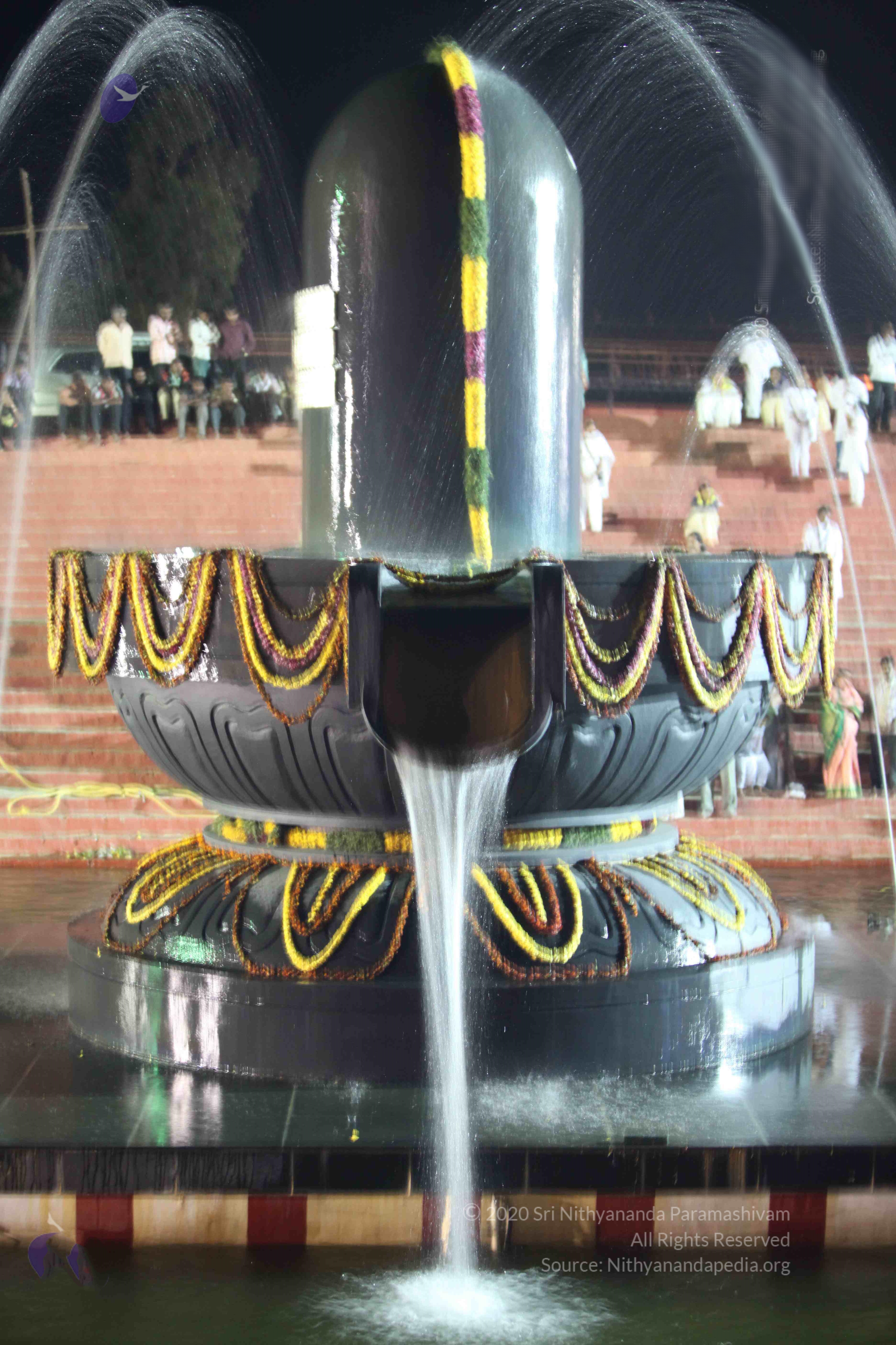 2010_01_04_IMG_0069_CMP_WM