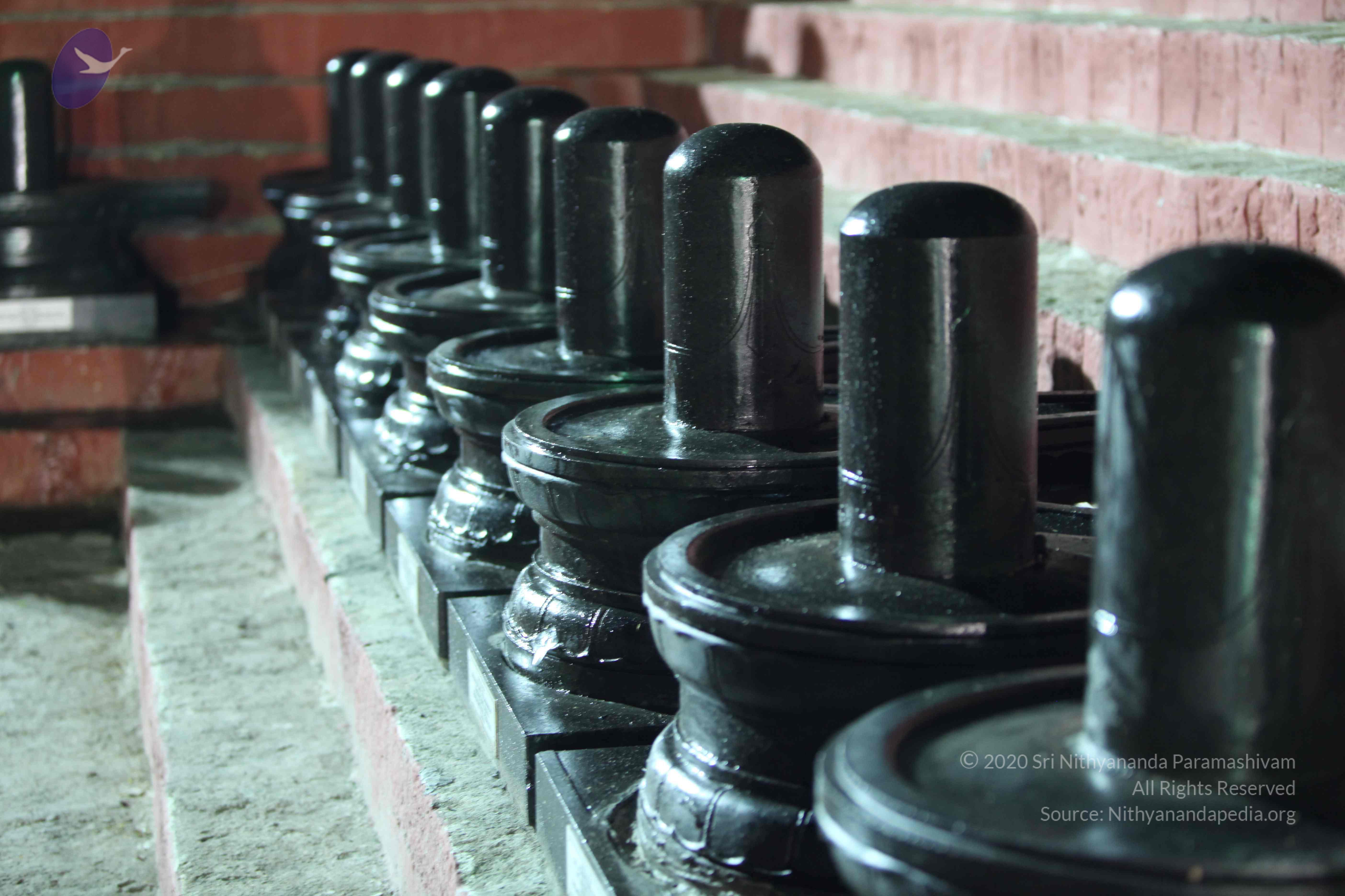 2010_01_04_IMG_0075_CMP_WM